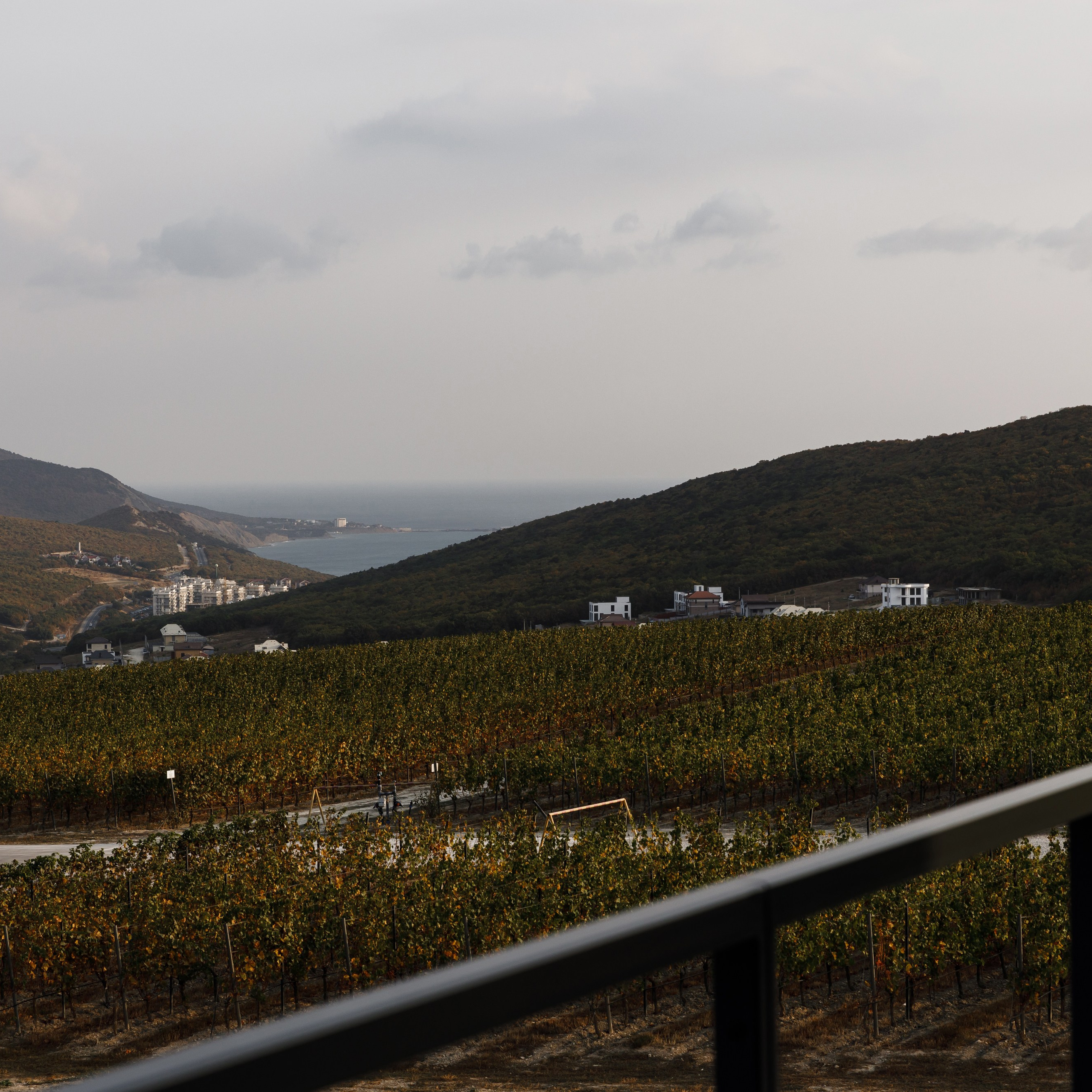 свадьба краснодар, фотограф на свадьбу краснодар, фотограф краснодар, свадебный фотограф краснодар, свадебный фотограф, свадебные фотографии, жених и невеста, свадебная фотосессия, фотограф, свадьба, свадебная прогулка, фотосессия, краснодар, позирование, фотограф анапа, фотограф новороссийск, фотограф сочи, анапа, сочи, майкоп, свадьба москва, москва, фотограф москва, свадебная фотосессия москва, фотосъемка москва, свадьба у моря, дом у моря, морская свадьба, Геленджик, Кабардинка, море, Черное море, Анапа, Краснодар, Краснодарский край