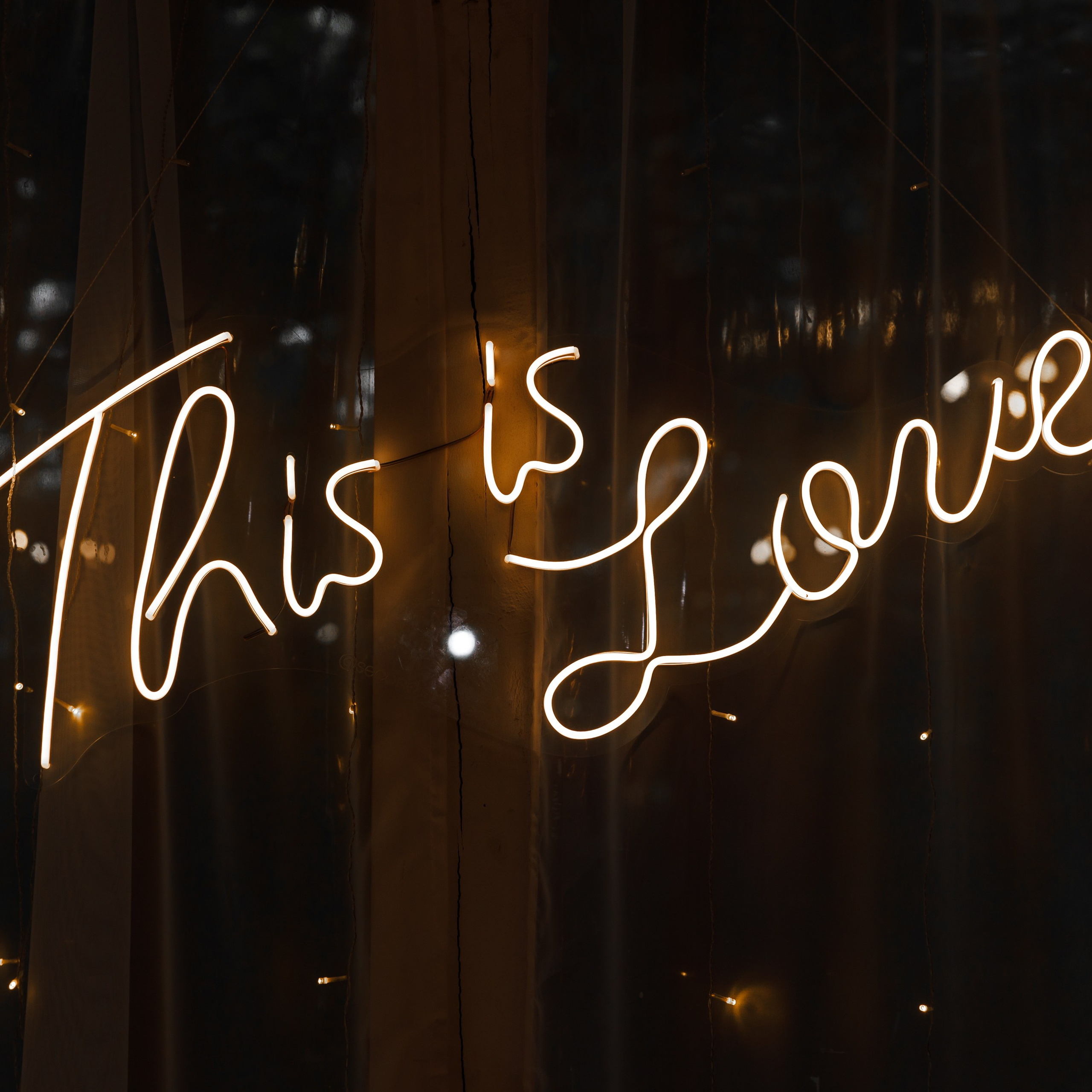 Wedding К.С. (Усадьба «Лесной Берег»). Свадебный фотограф Краснодар Павел Глухов