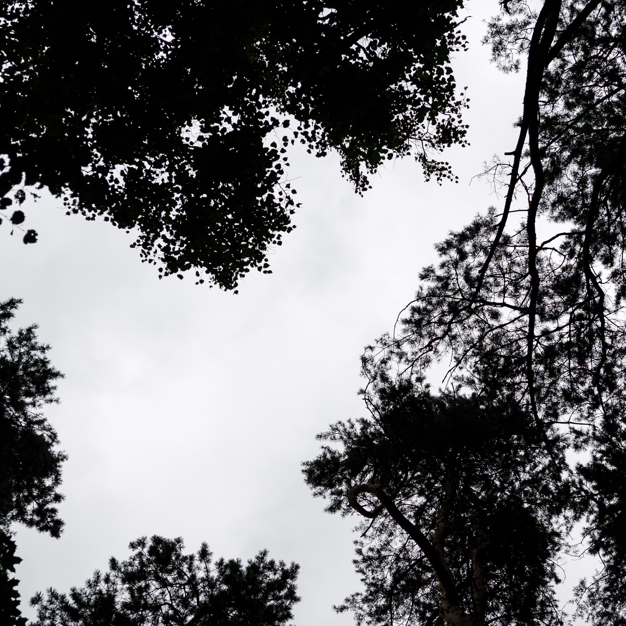 Wedding К.С. (Усадьба «Лесной Берег»). Свадебный фотограф Краснодар Павел Глухов