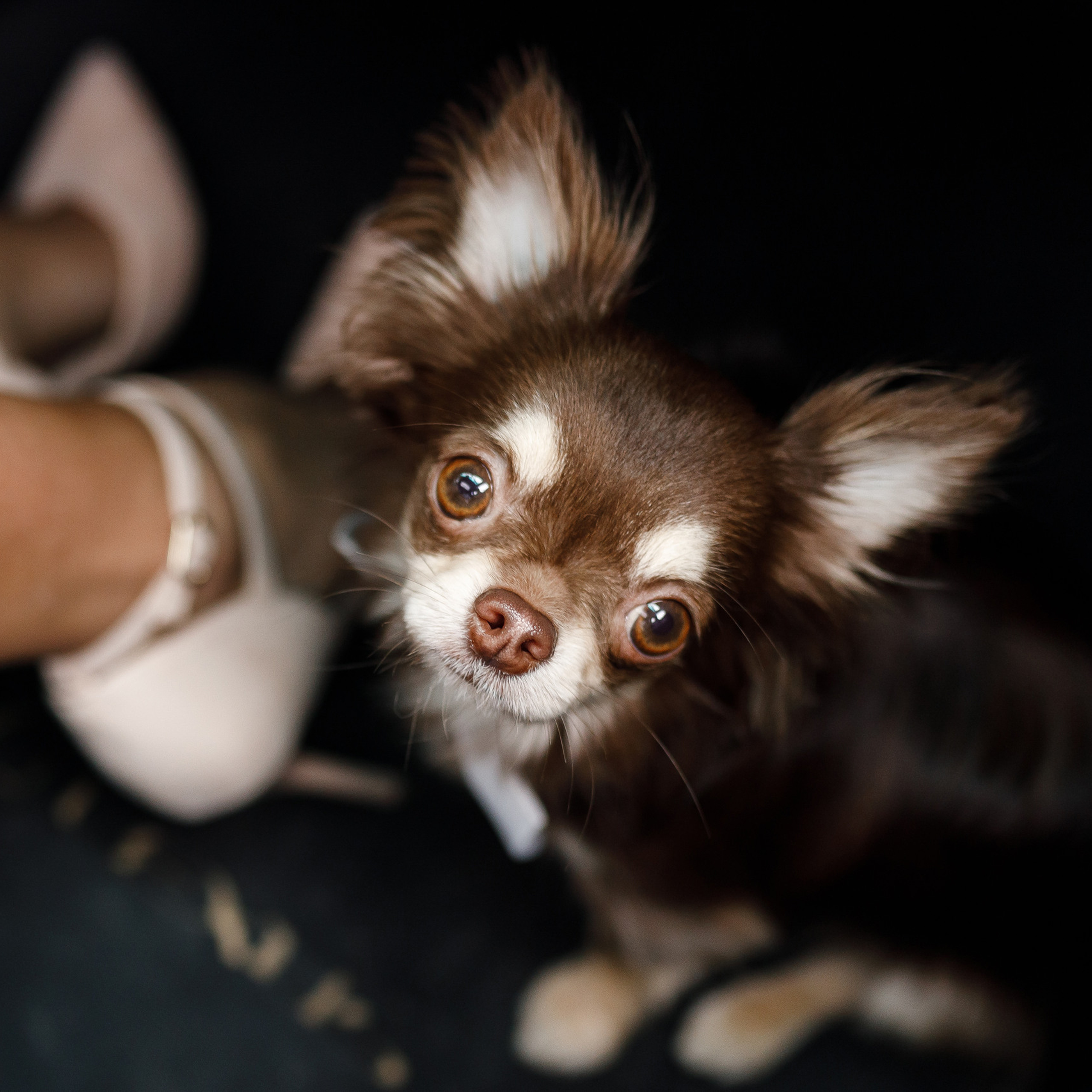 Отзывы. Свадебный фотограф Краснодар Павел Глухов