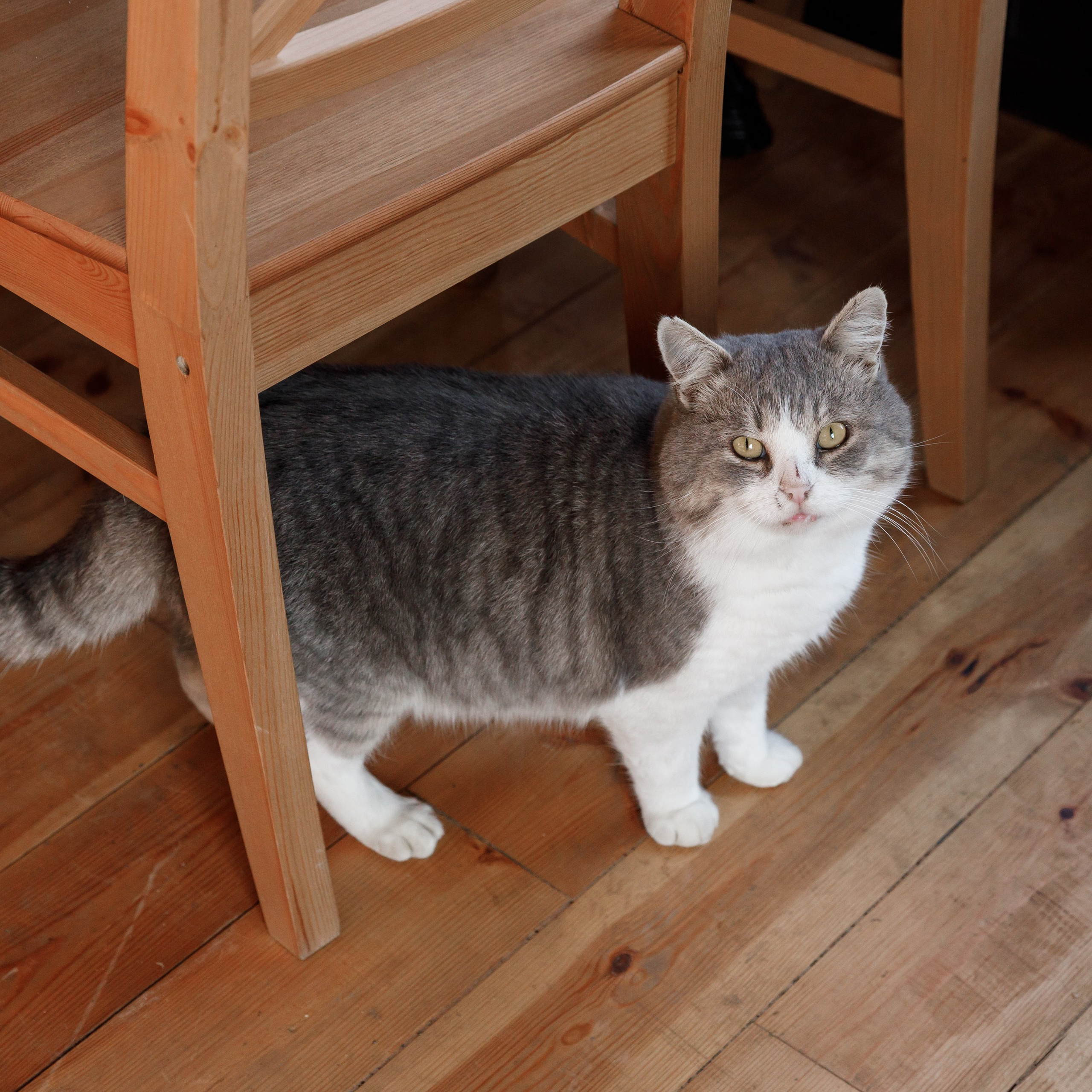 Фотосъемка событий. Свадебный фотограф Краснодар Павел Глухов