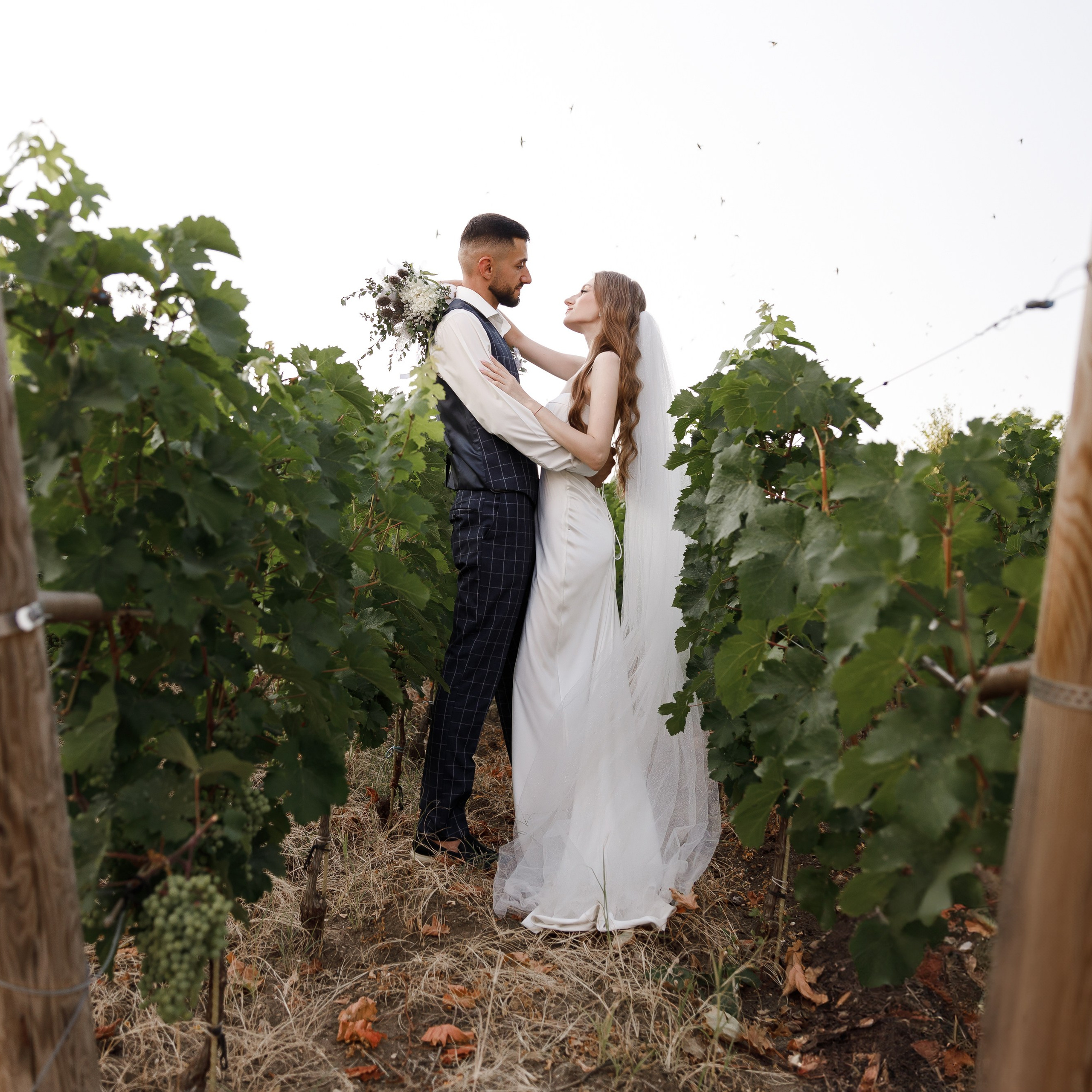 свадьба краснодар, фотограф на свадьбу краснодар, фотограф краснодар, свадебный фотограф краснодар, свадебный фотограф, свадебные фотографии, жених и невеста, свадебная фотосессия, фотограф, свадьба, свадебная прогулка, фотосессия, краснодар, позирование