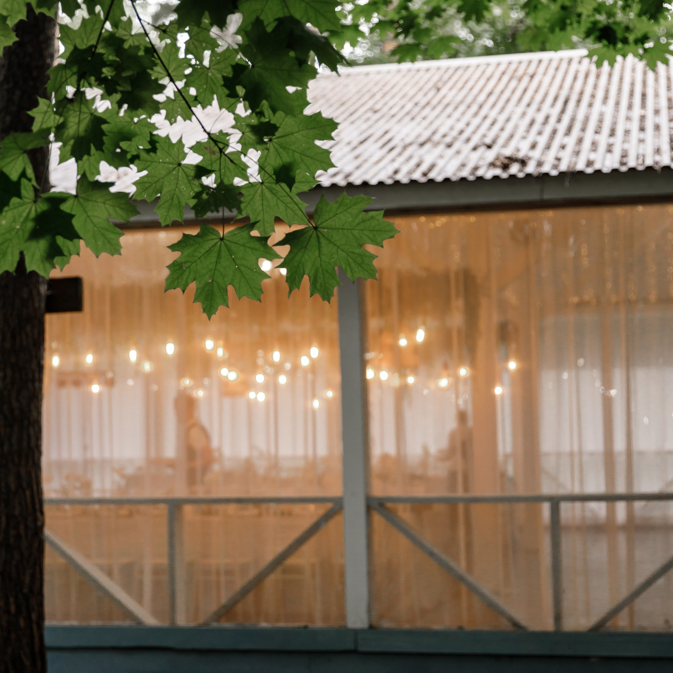 Wedding К.С. (Усадьба «Лесной Берег»). Свадебный фотограф Краснодар Павел Глухов
