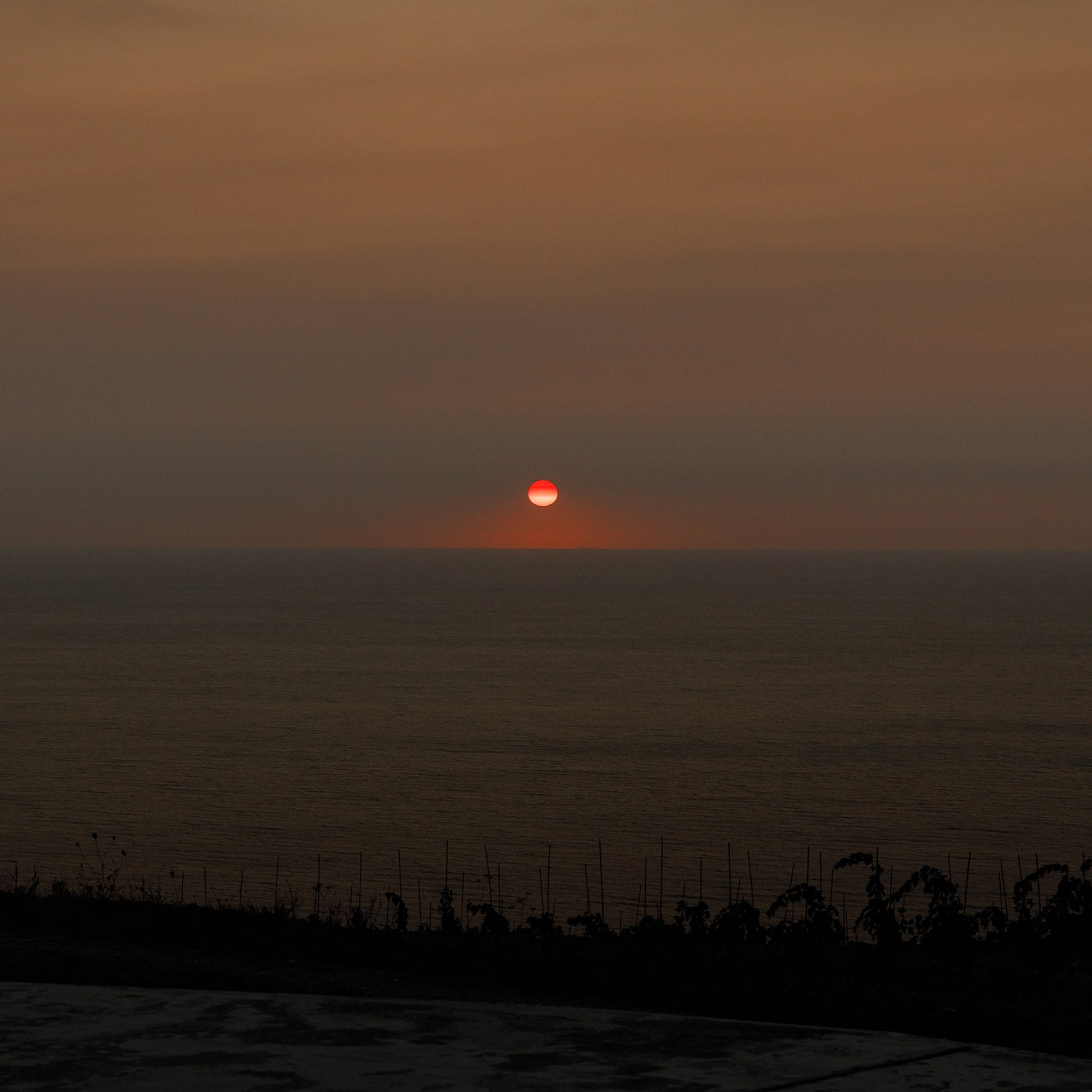 свадьба краснодар, фотограф на свадьбу краснодар, фотограф краснодар, свадебный фотограф краснодар, свадебный фотограф, свадебные фотографии, жених и невеста, свадебная фотосессия, фотограф, свадьба, свадебная прогулка, фотосессия, краснодар, позирование, фотограф анапа, фотограф новороссийск, фотограф сочи, анапа, сочи, майкоп, свадьба москва, москва, фотограф москва, свадебная фотосессия москва, фотосъемка москва, свадьба у моря, дом у моря, морская свадьба, Геленджик, Кабардинка, море, Черное море, Анапа, Краснодар, Краснодарский край