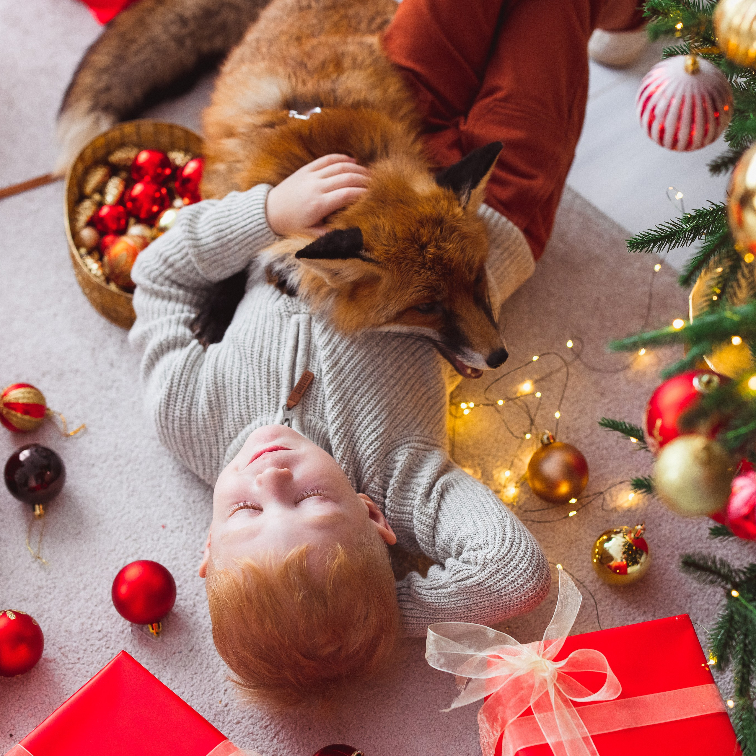 Отзывы. Семейный и детский фотограф в Краснодаре Анна Трашкова