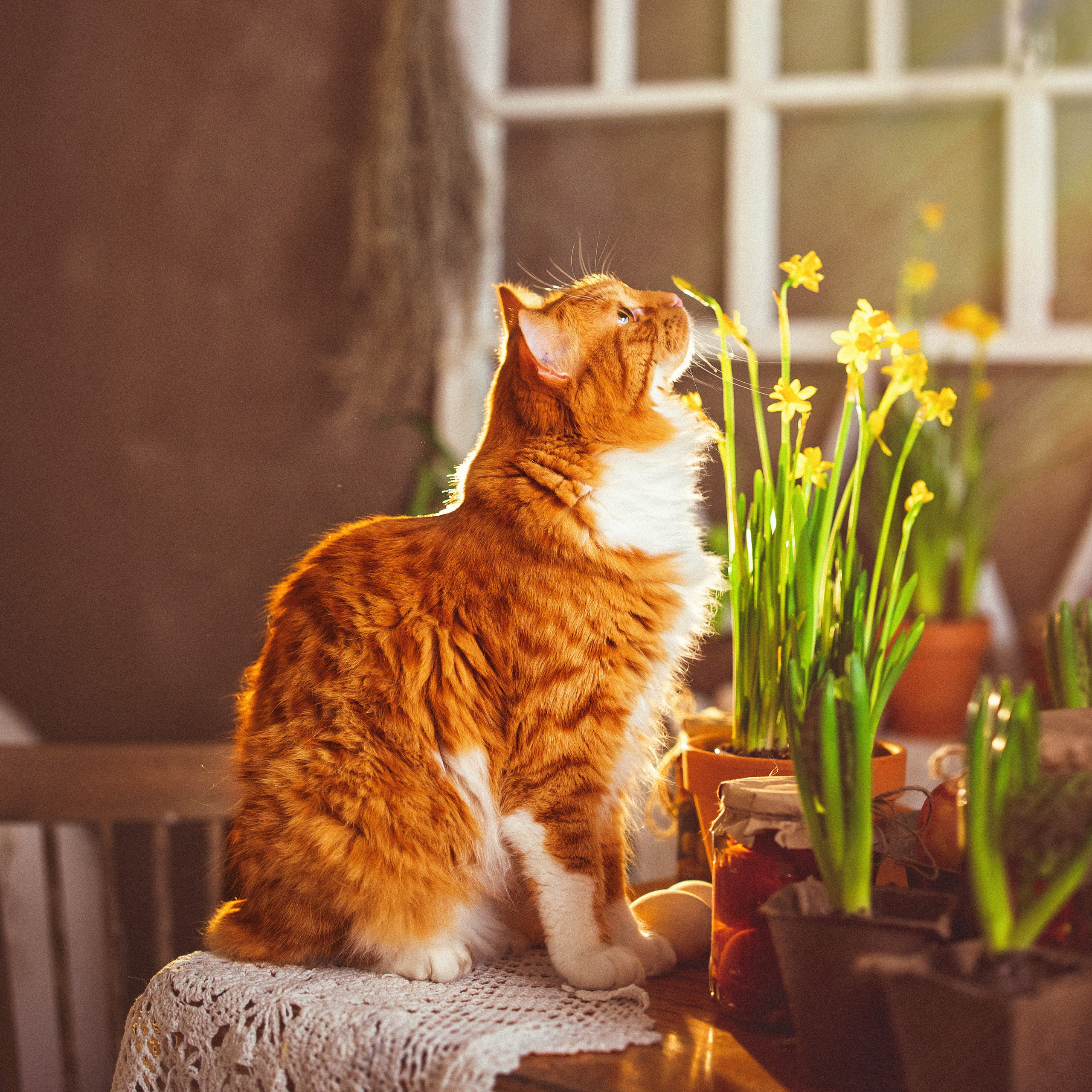 Фотостудия «Авторская», весна — лето 2023 г