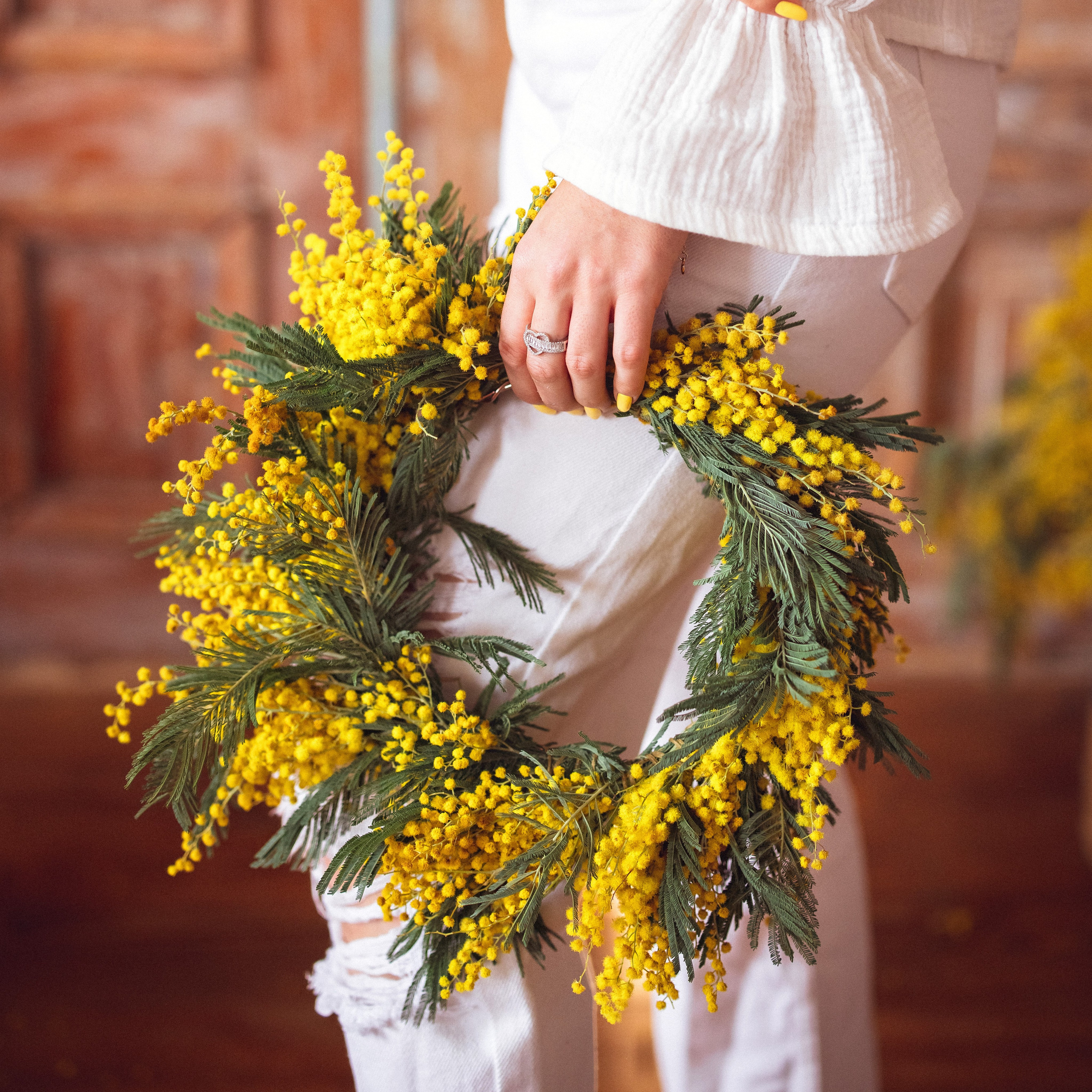 Мимоза, Фотостудия «Берлин»