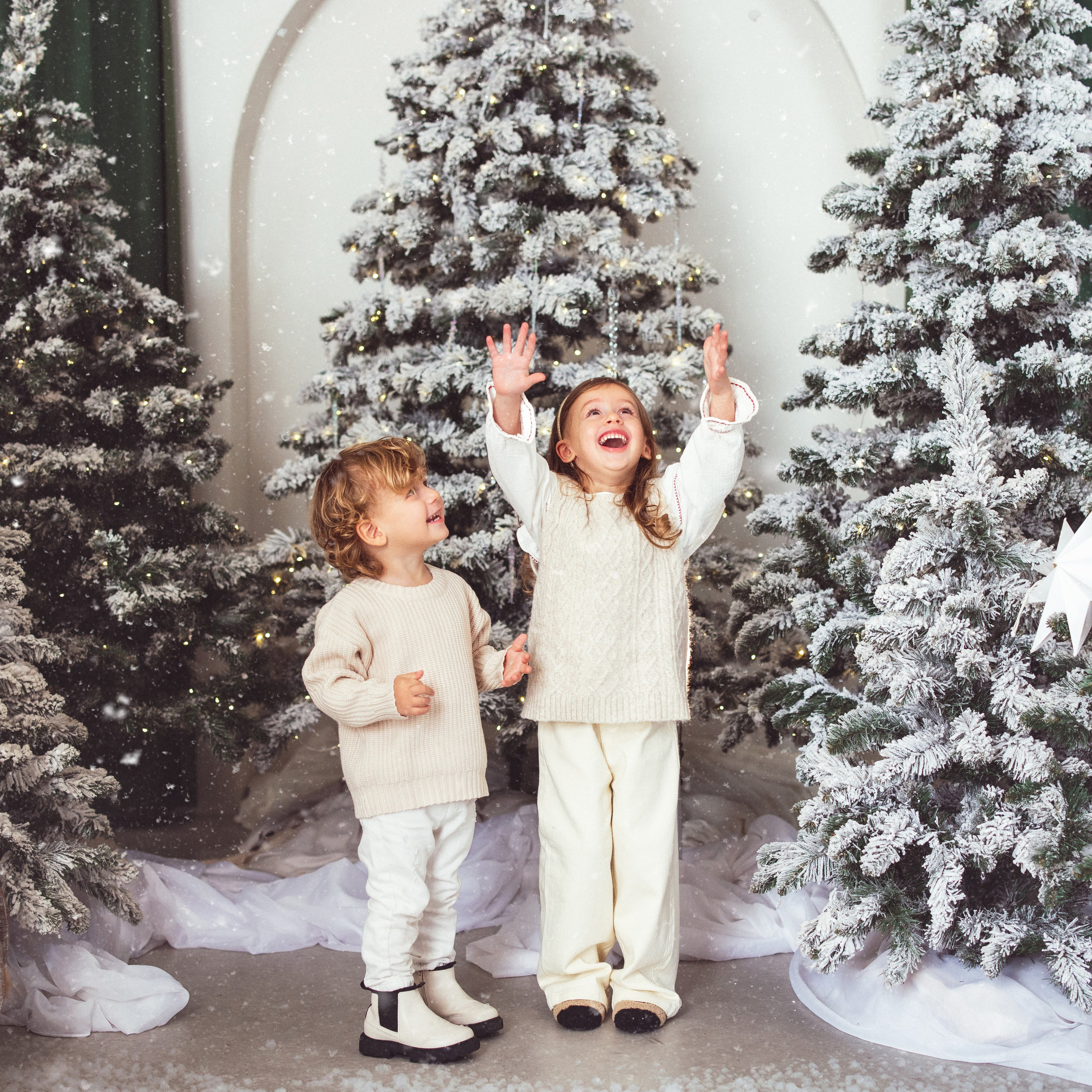 Фотостудия «Натура», 2023-2024