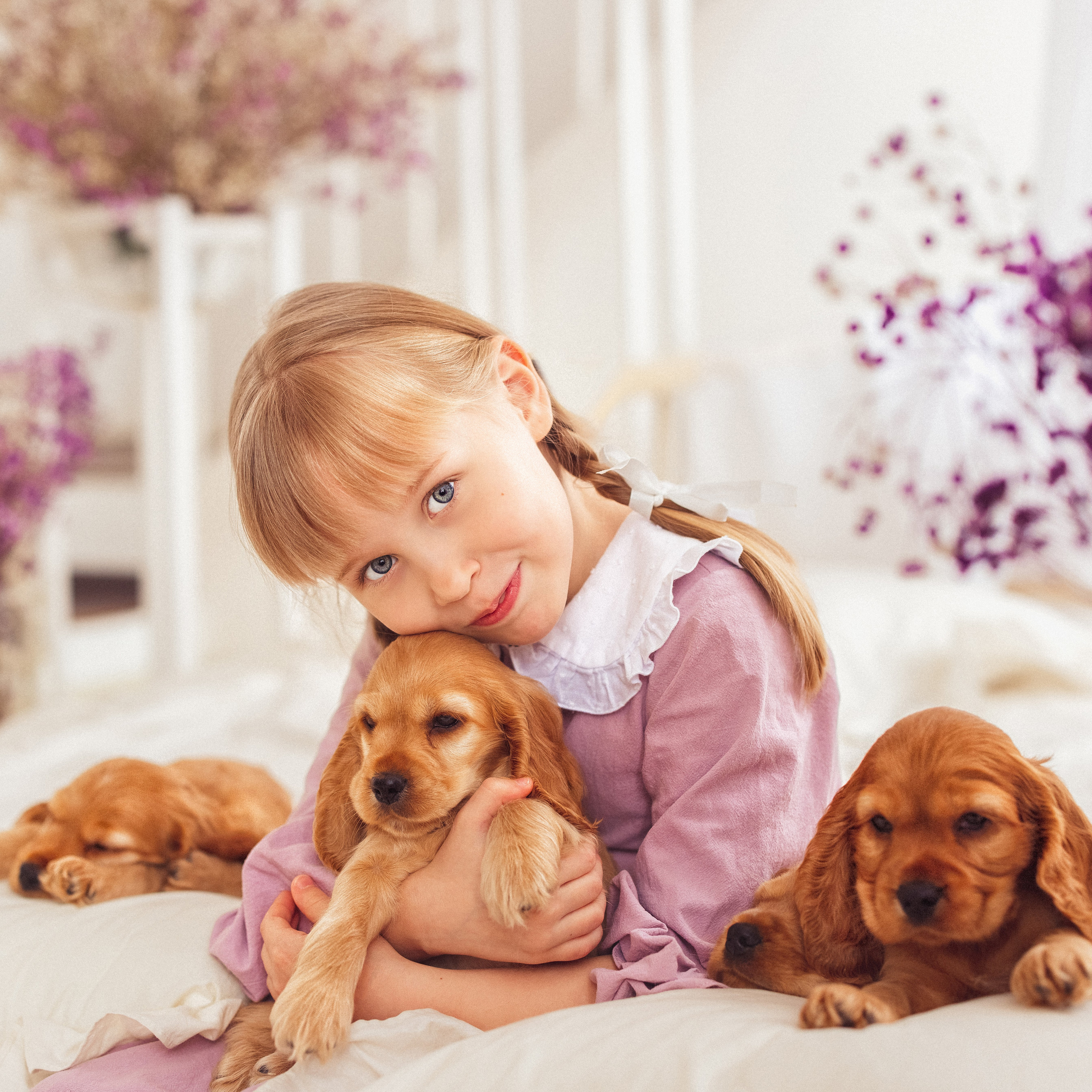 ЩЕНКИ (Кокер — спаниель)