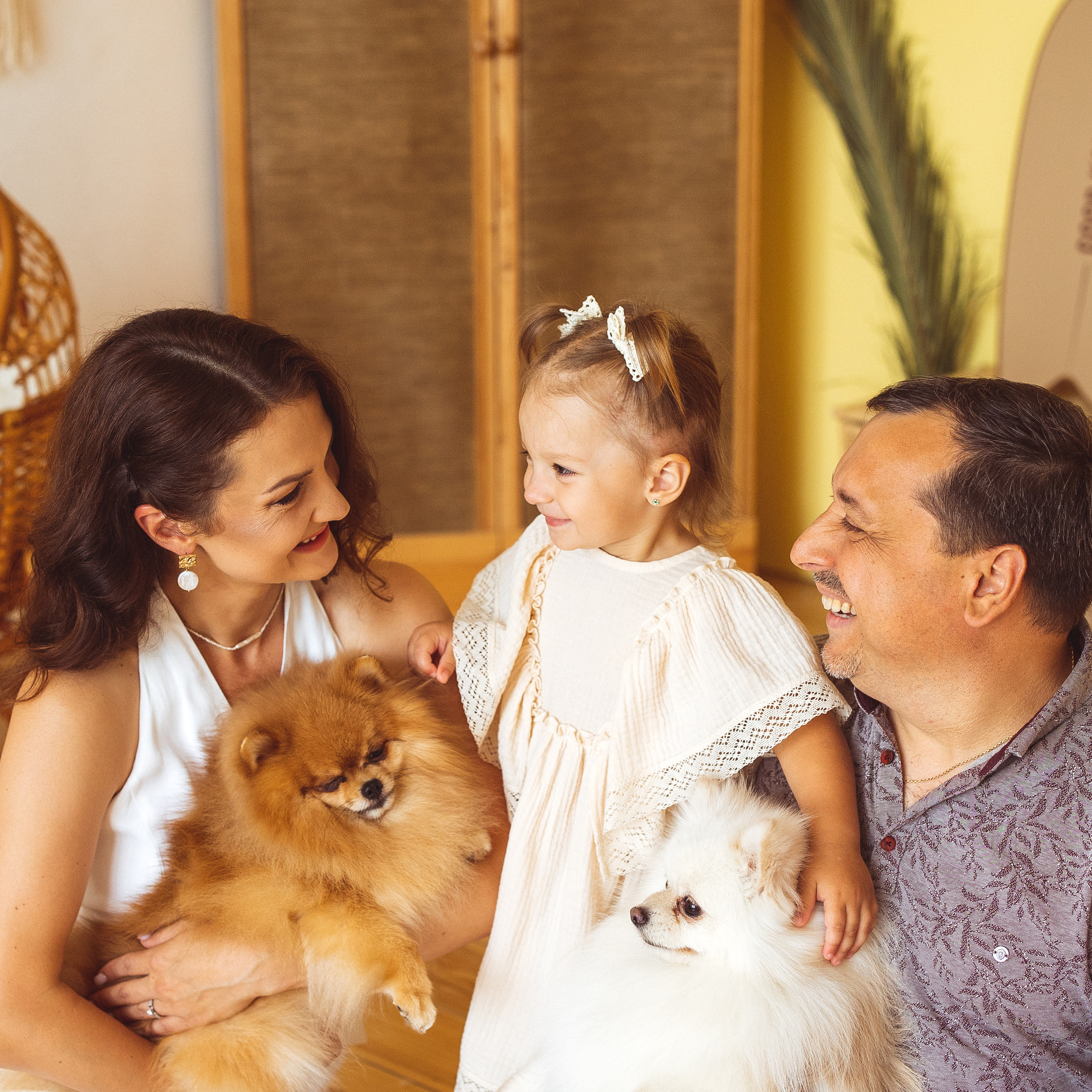 Собачки (шпицы)