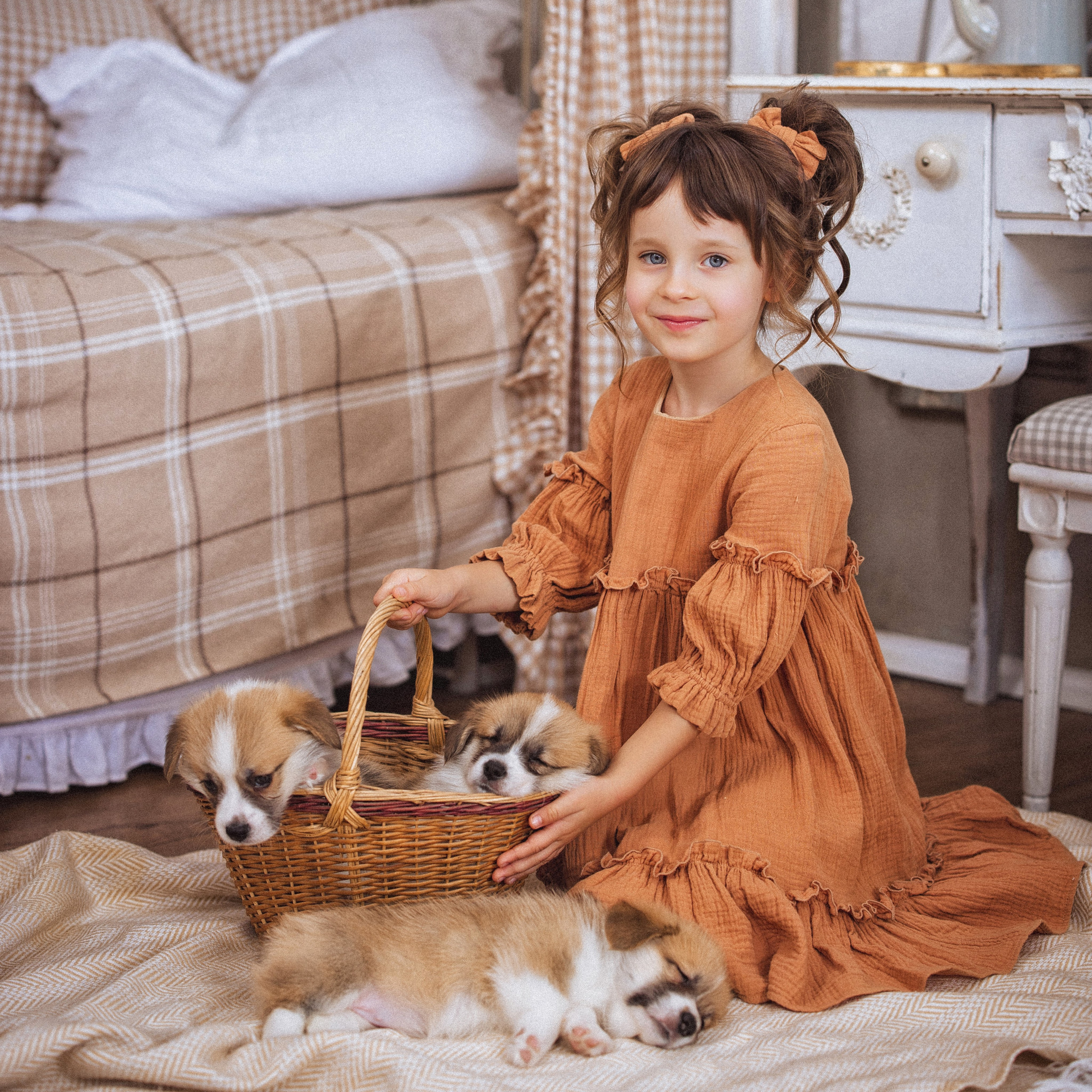 Щенки «КОРГИ»