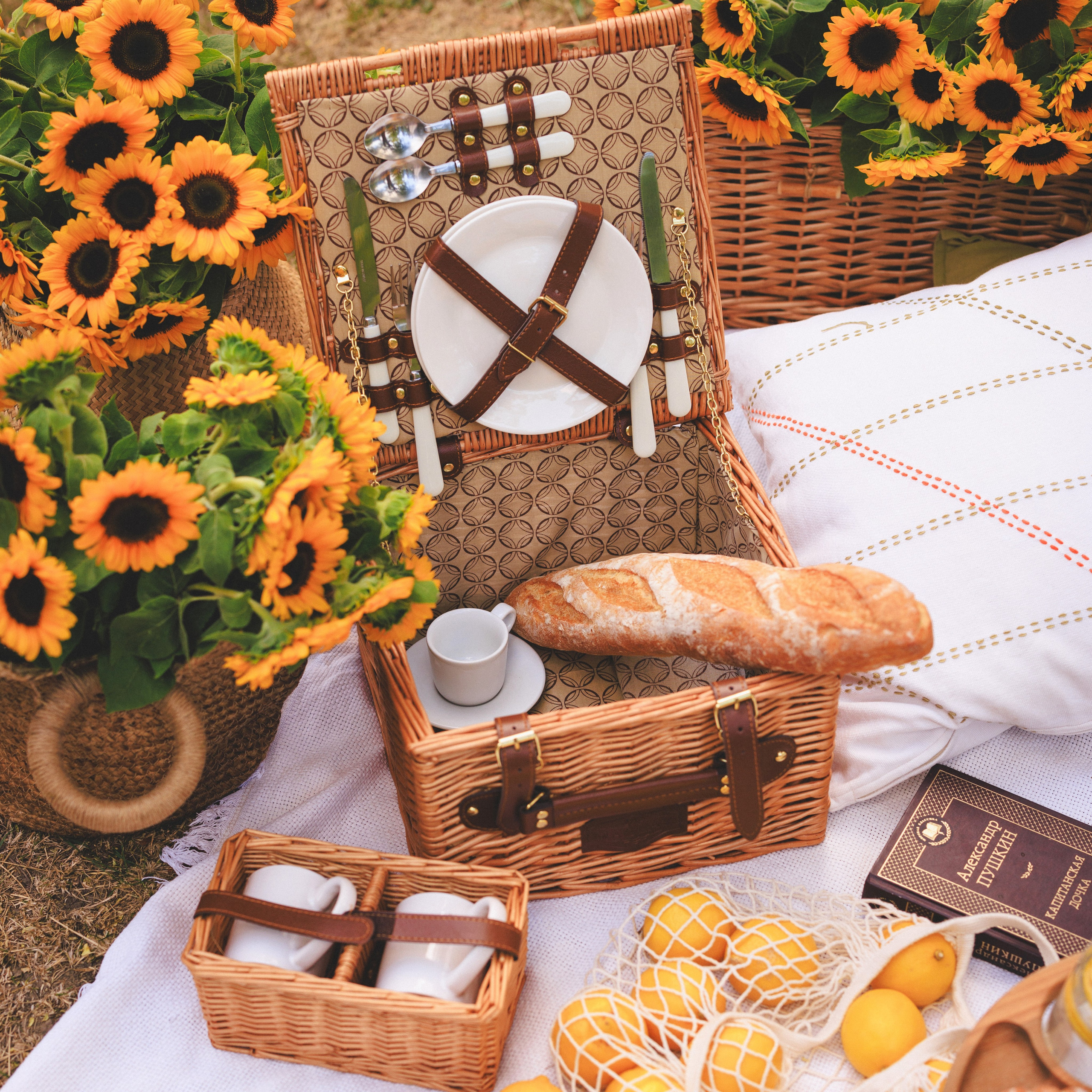 «ПИКНИК», Подсолнухи