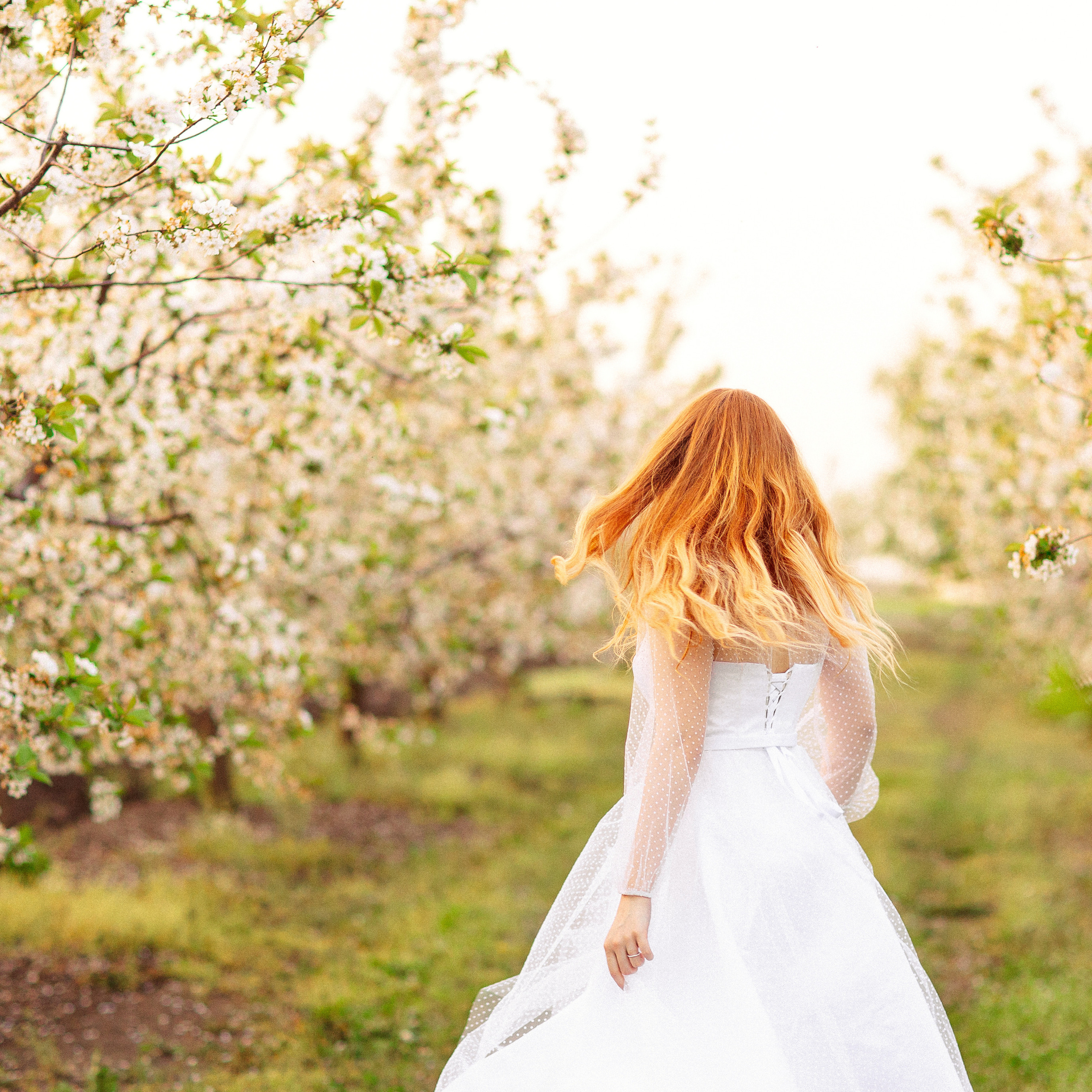 Цветущий сад, семейная