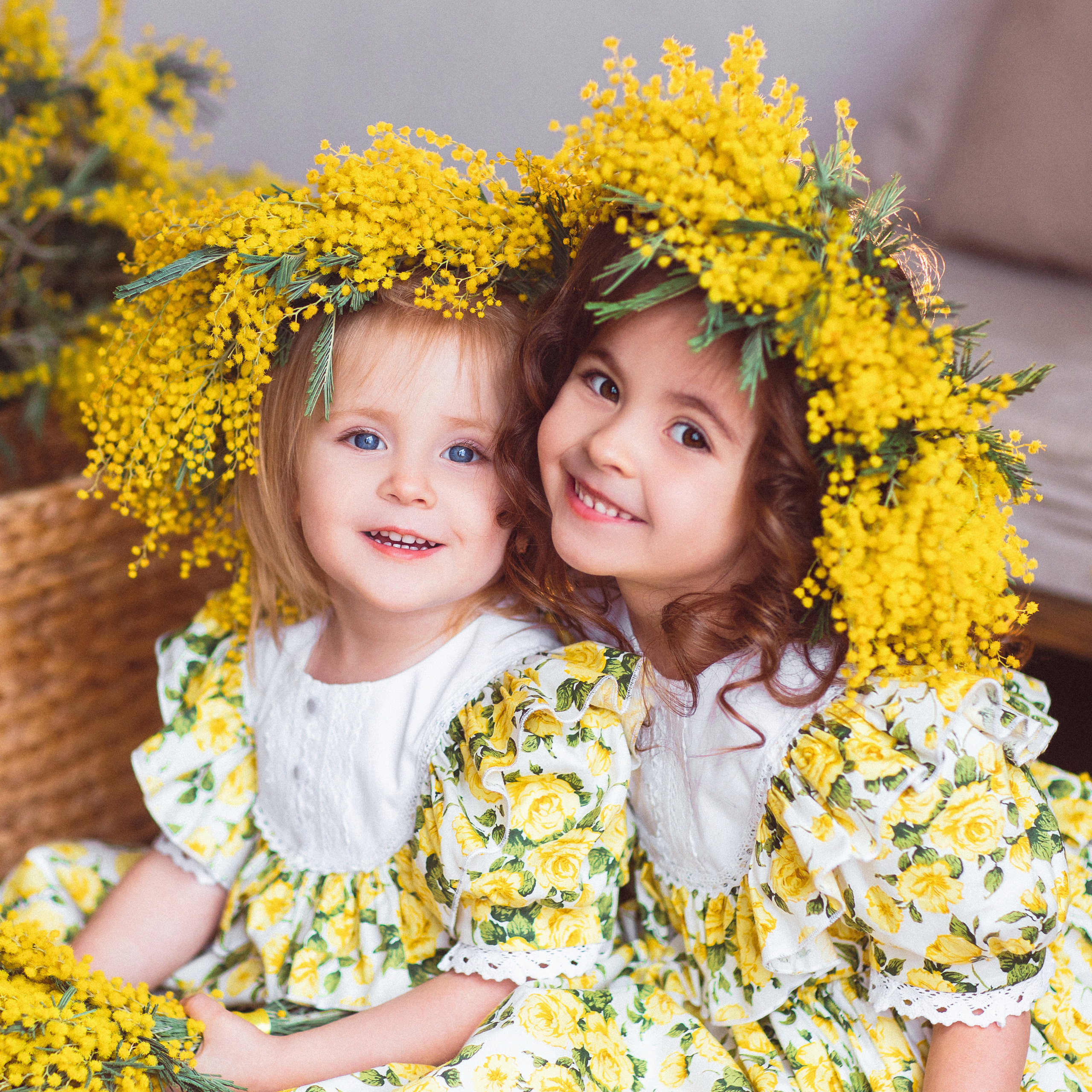 Мимоза, Фотостудия «Майя»