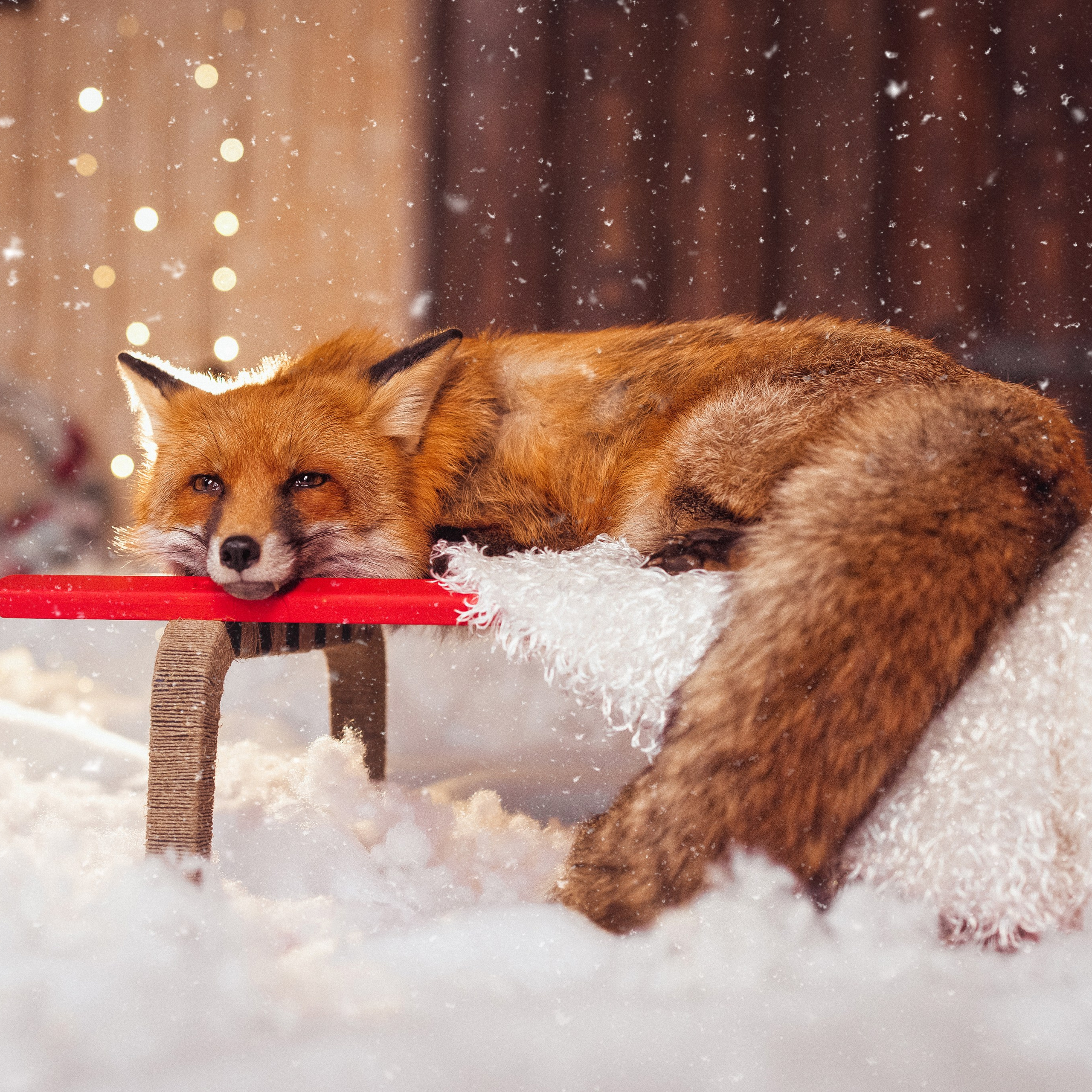 Отзывы. Семейный и детский фотограф в Краснодаре Анна Трашкова