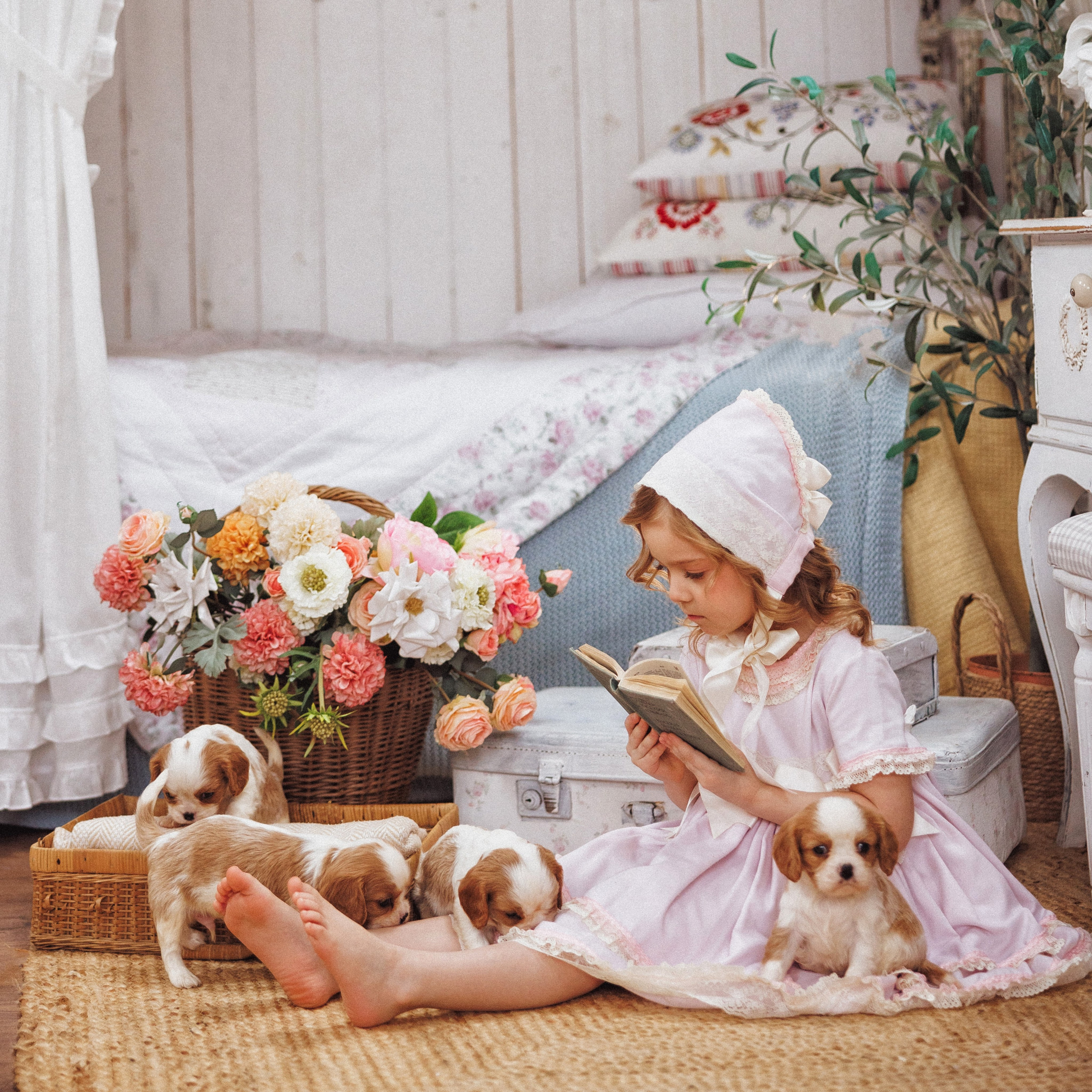 «Щенки», Кавалер кинг чарльз спаниель