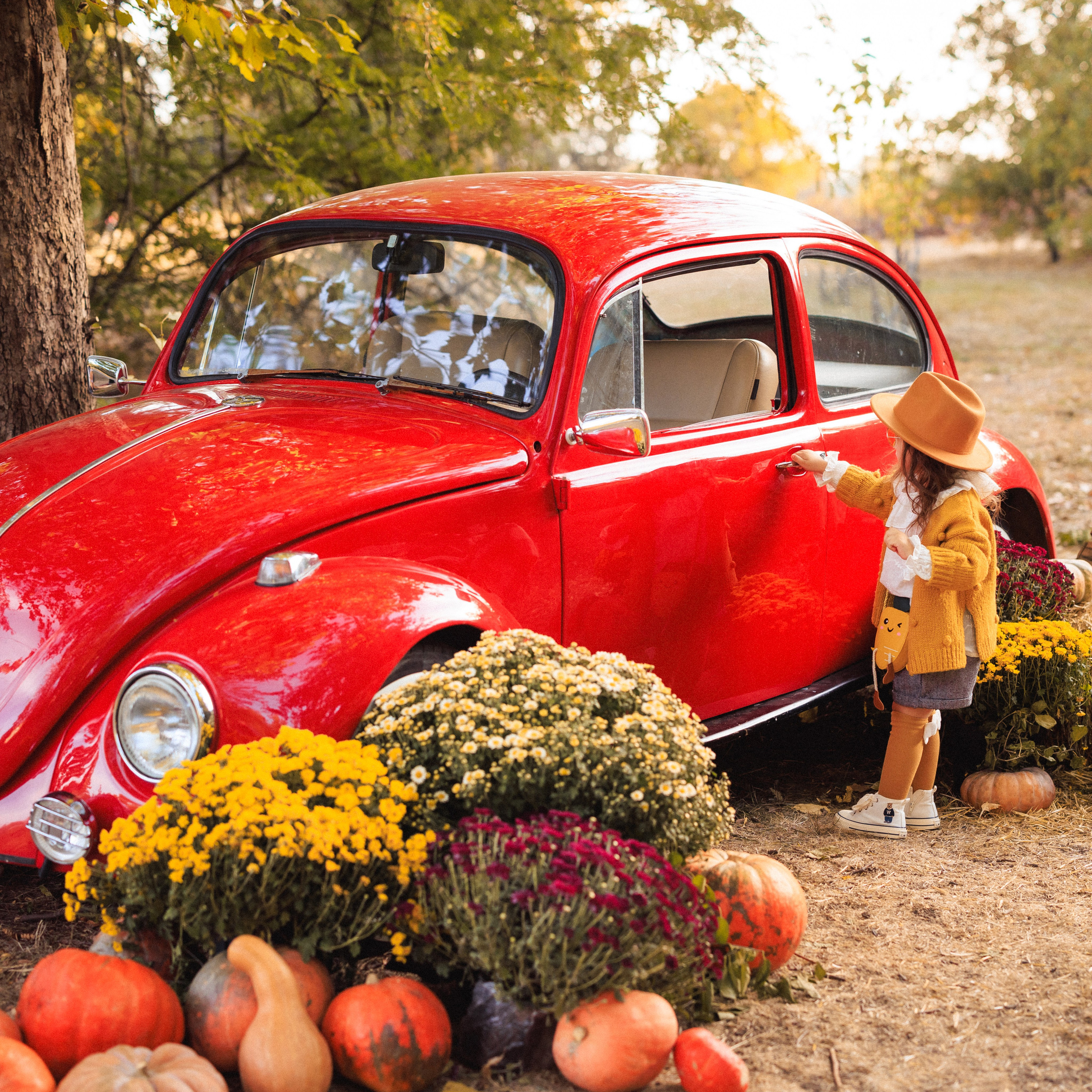 «Retro авто», ОСЕНЬ