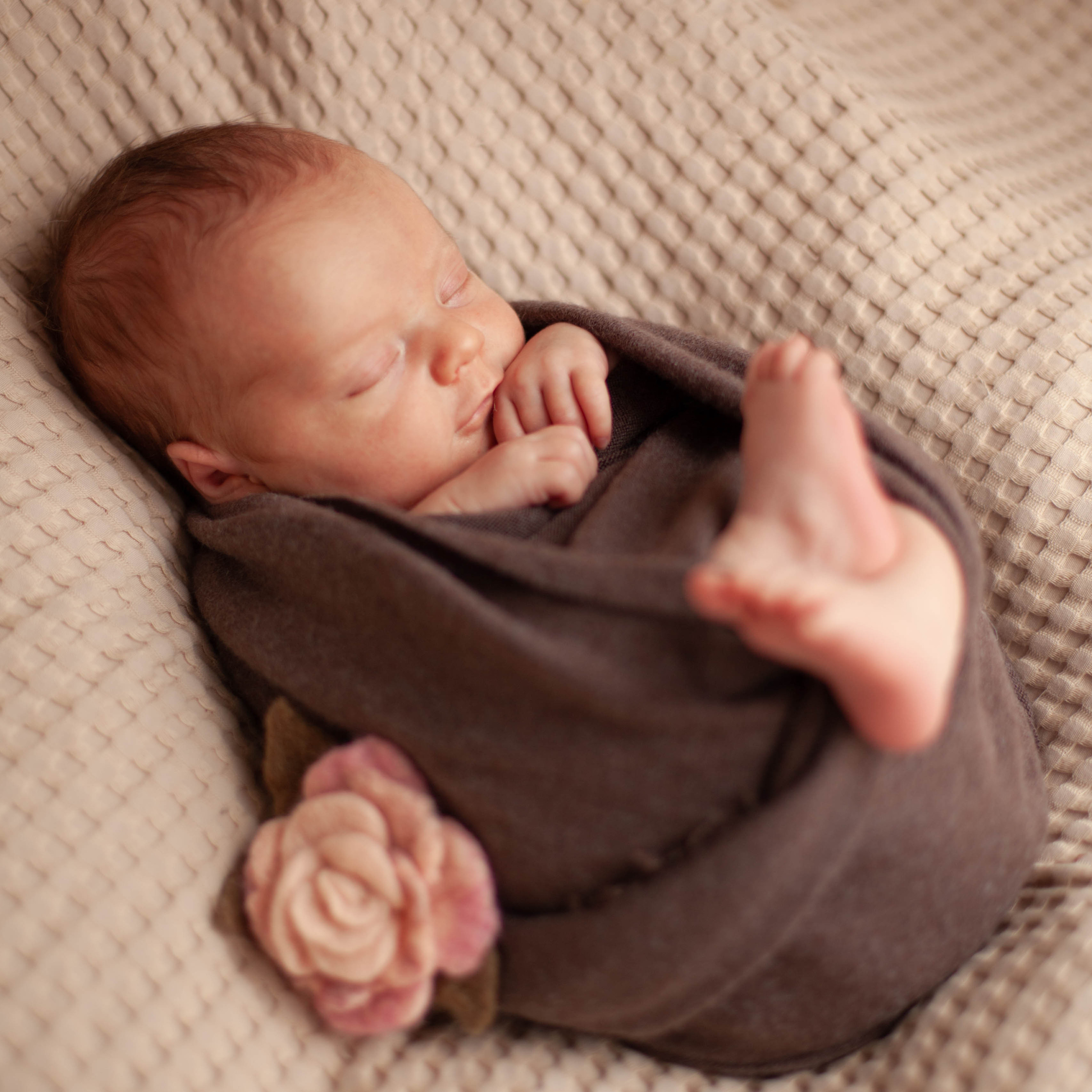 Мама+Папа=Ева. Семейный фотограф СПб и ЛО Татьяна Прилепко