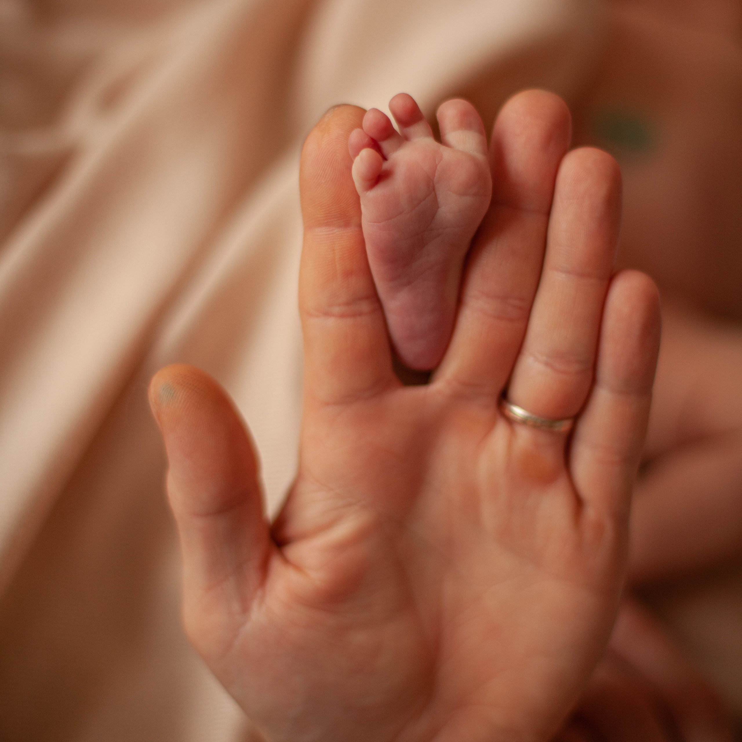 Мама+Папа=Ева. Семейный фотограф СПб и ЛО Татьяна Прилепко