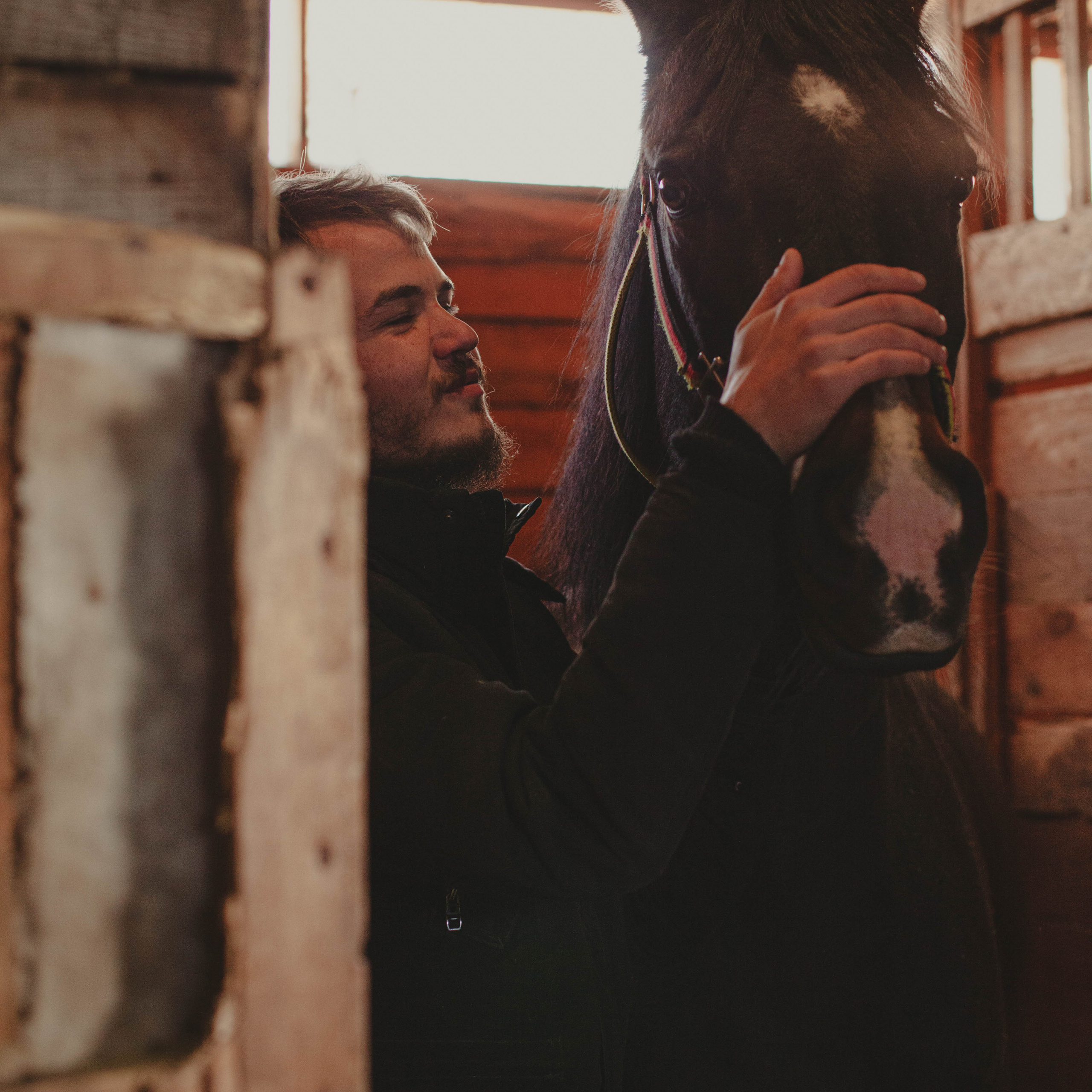 Контент для конюшни. Семейный фотограф СПб и ЛО Татьяна Прилепко