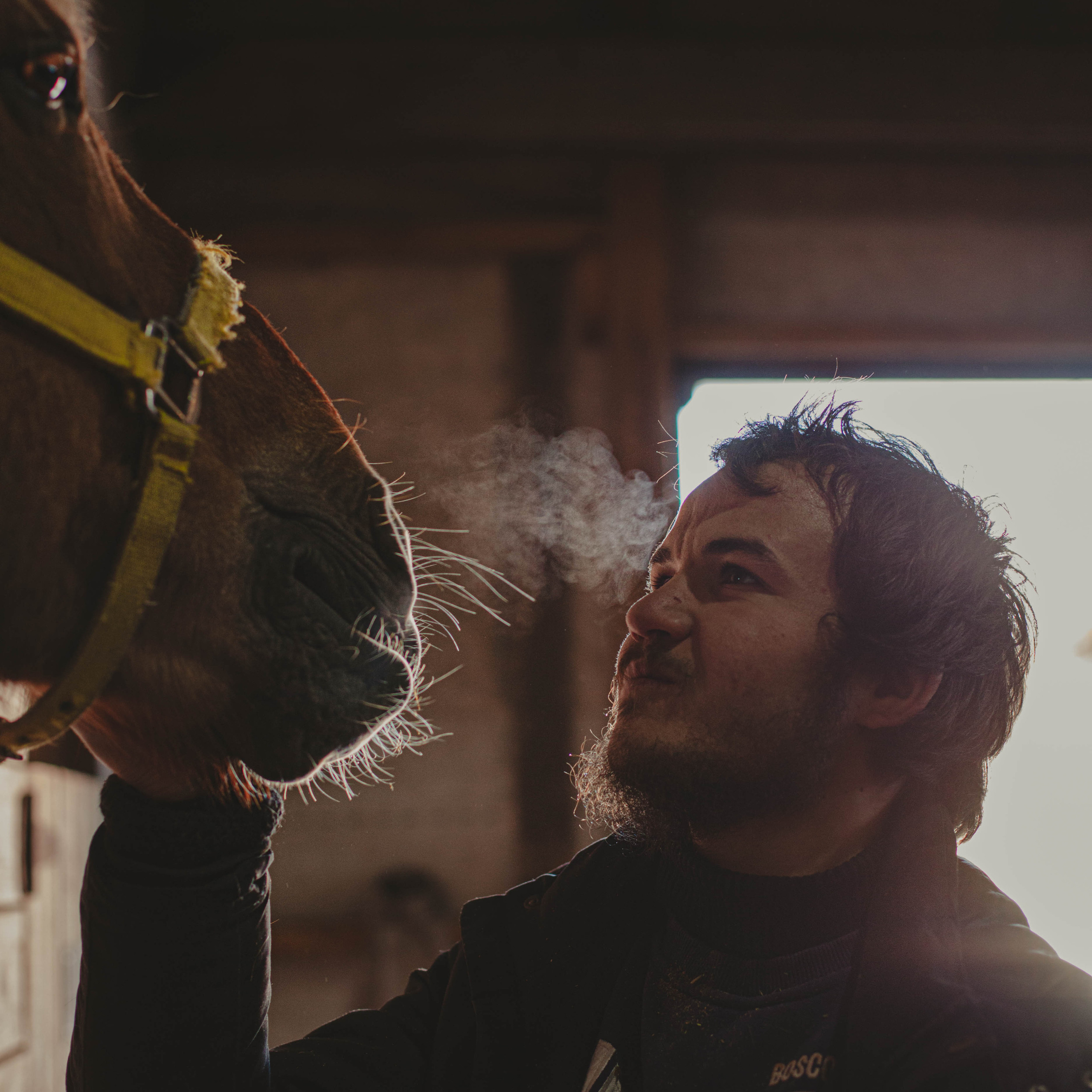 Контент для конюшни. Семейный фотограф СПб и ЛО Татьяна Прилепко