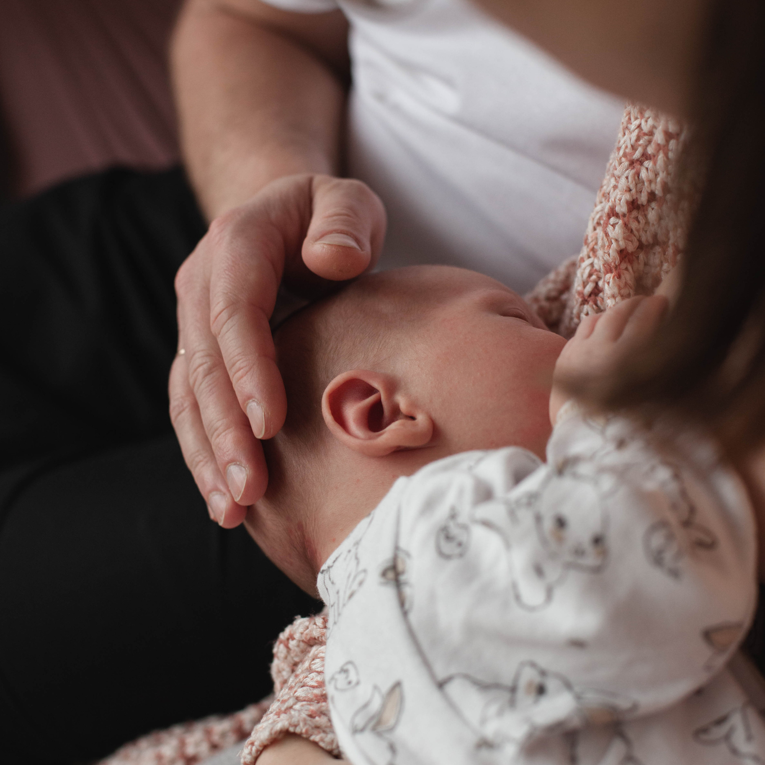 Главный герой, Лев. Семейный фотограф СПб и ЛО Татьяна Прилепко