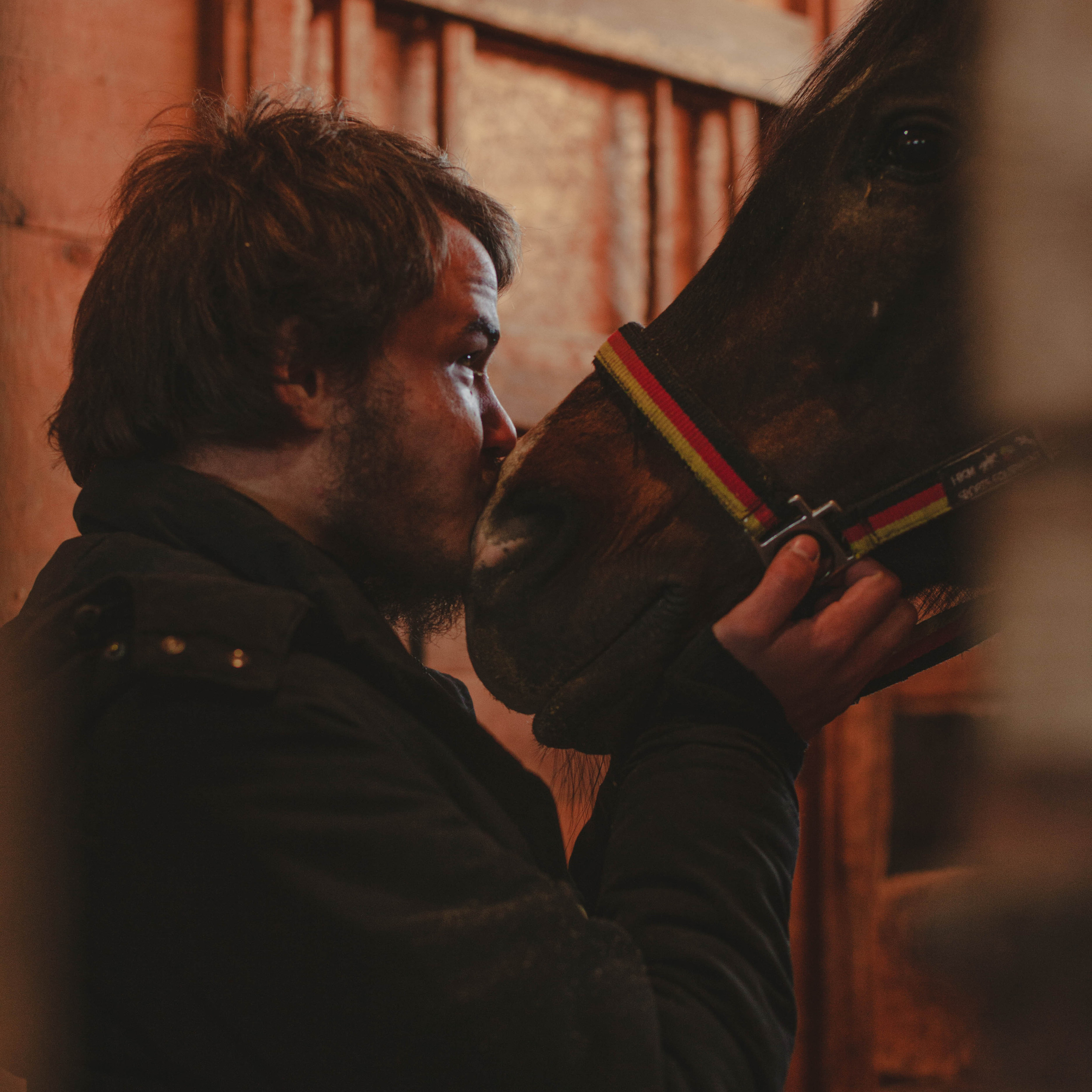 Контент для конюшни. Семейный фотограф СПб и ЛО Татьяна Прилепко