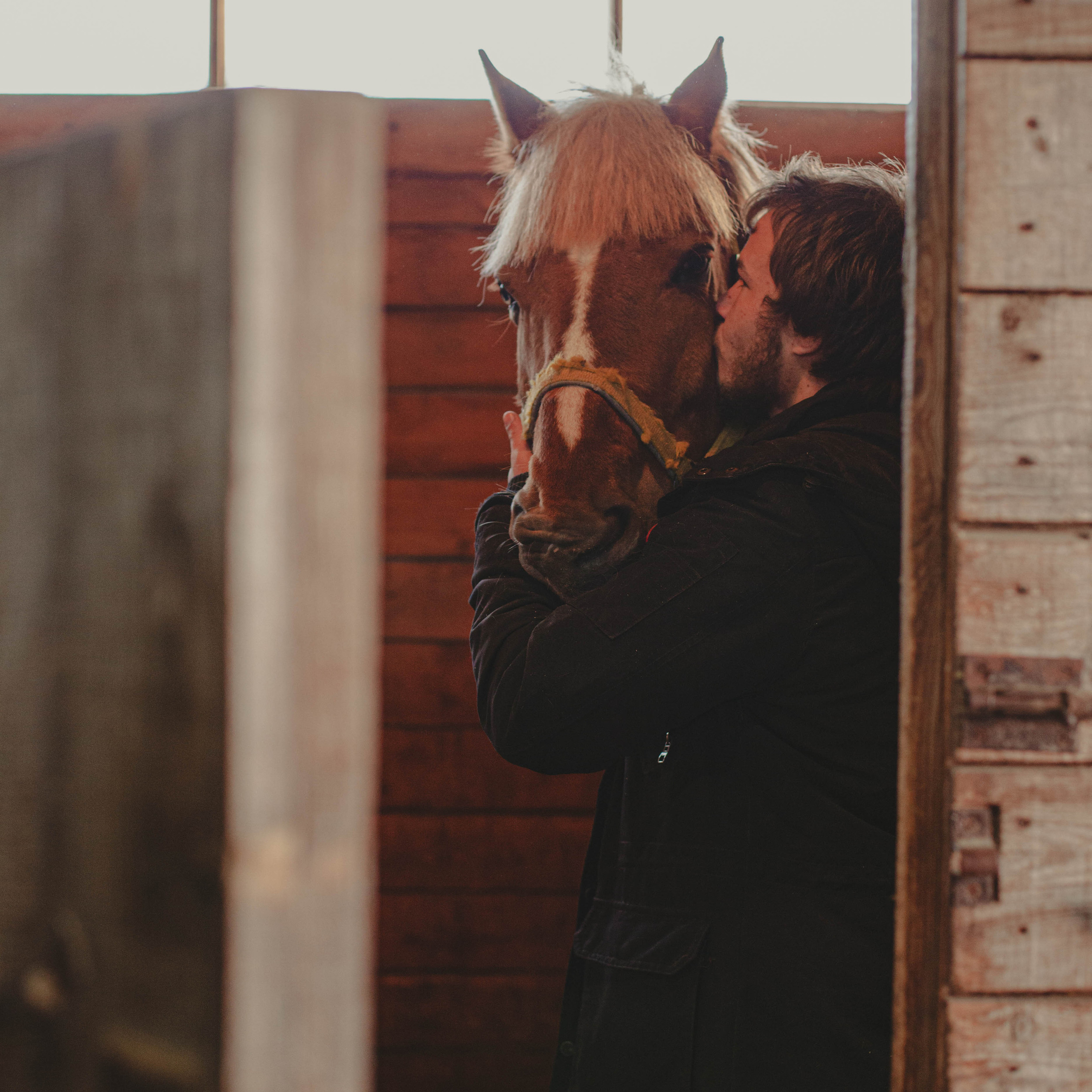 Контент для конюшни. Семейный фотограф СПб и ЛО Татьяна Прилепко