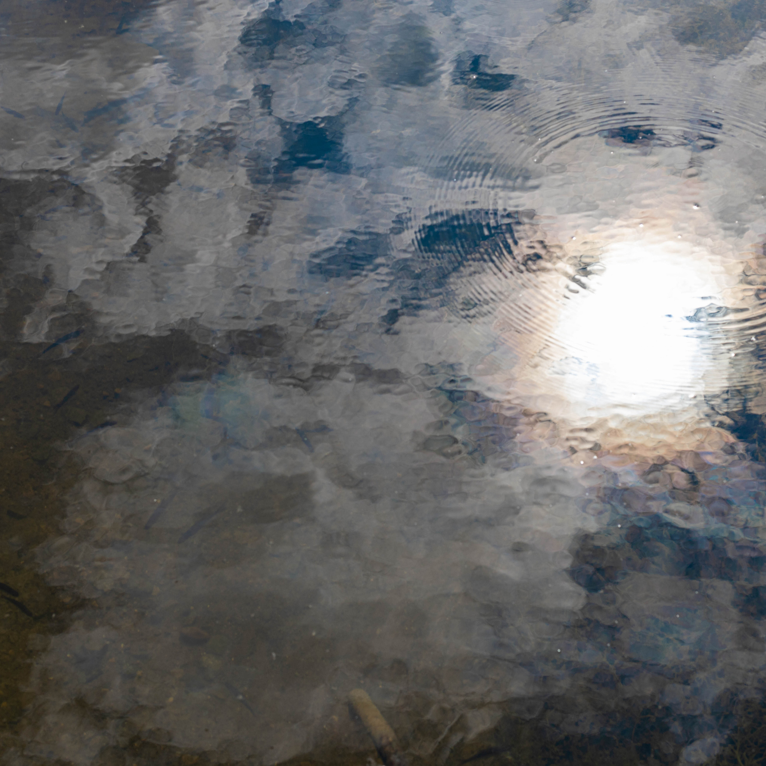 Водяной. Семейный фотограф СПб и ЛО Татьяна Прилепко