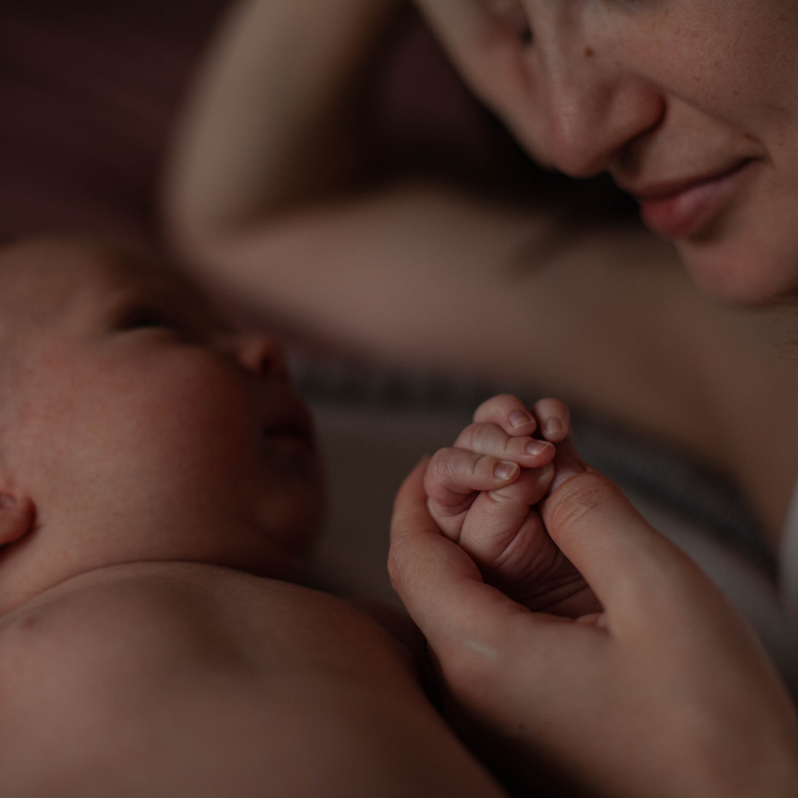 Главный герой, Лев. Семейный фотограф СПб и ЛО Татьяна Прилепко