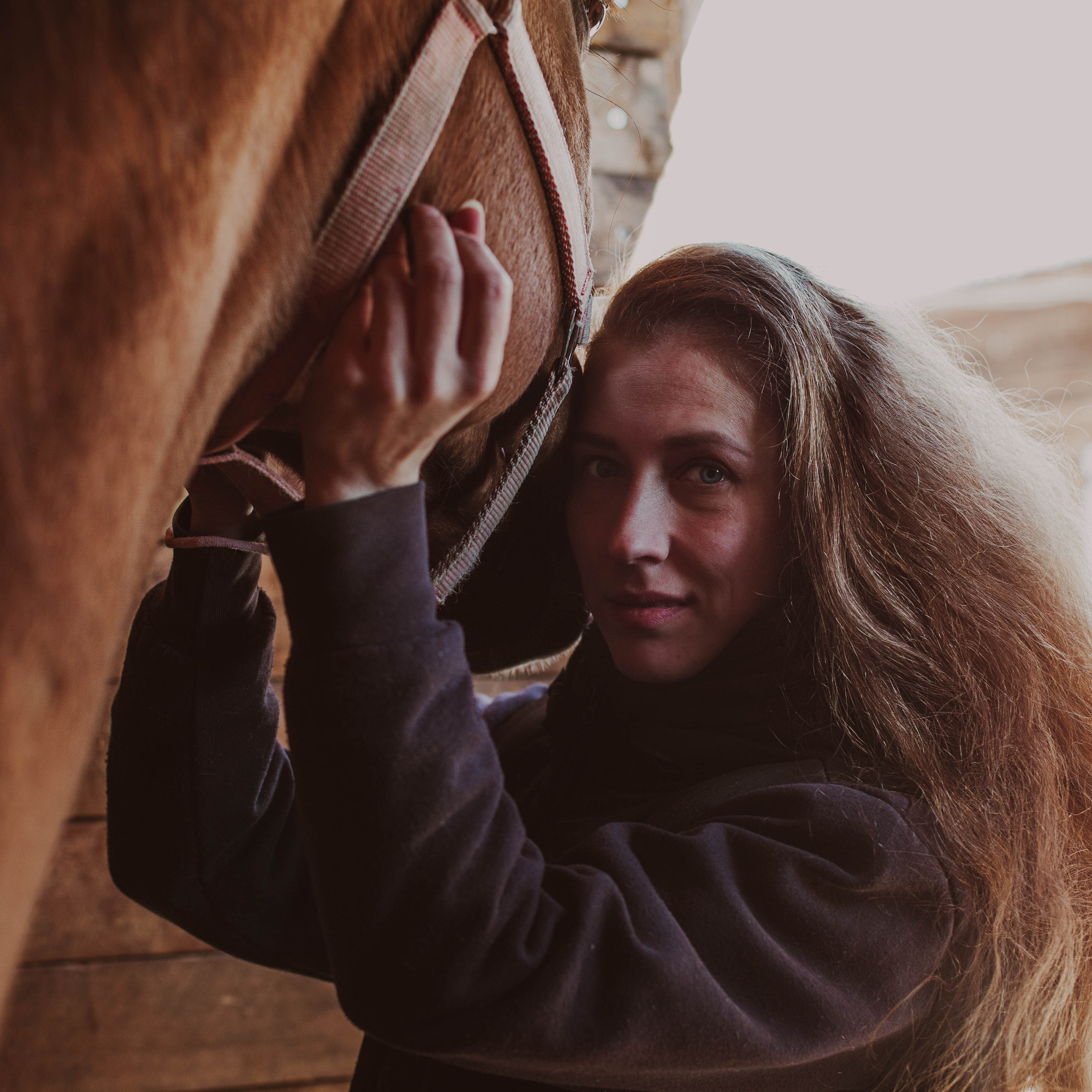Контент для конюшни. Семейный фотограф СПб и ЛО Татьяна Прилепко