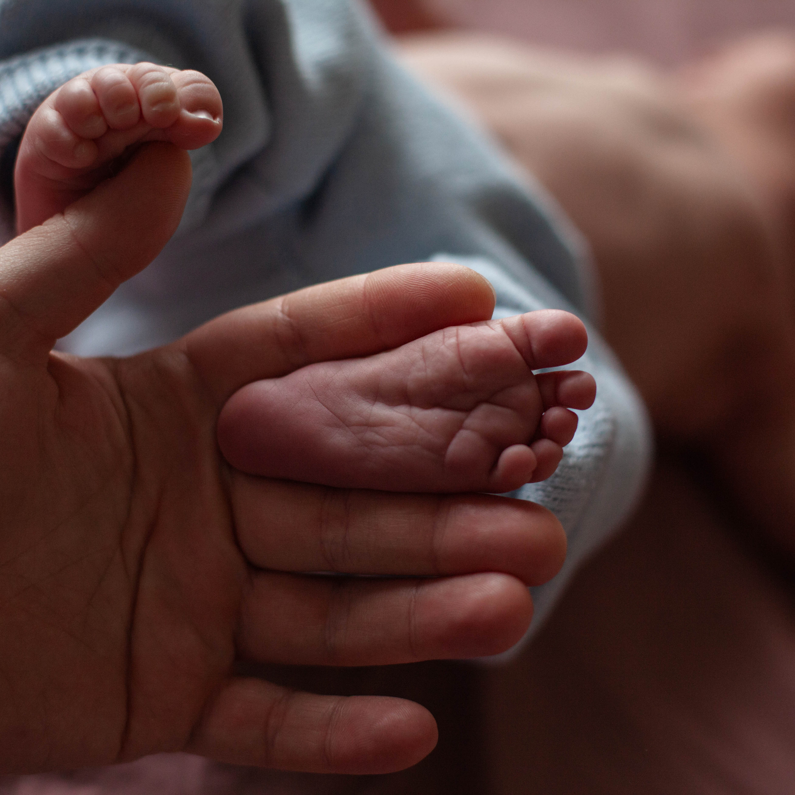 Главный герой, Лев. Семейный фотограф СПб и ЛО Татьяна Прилепко