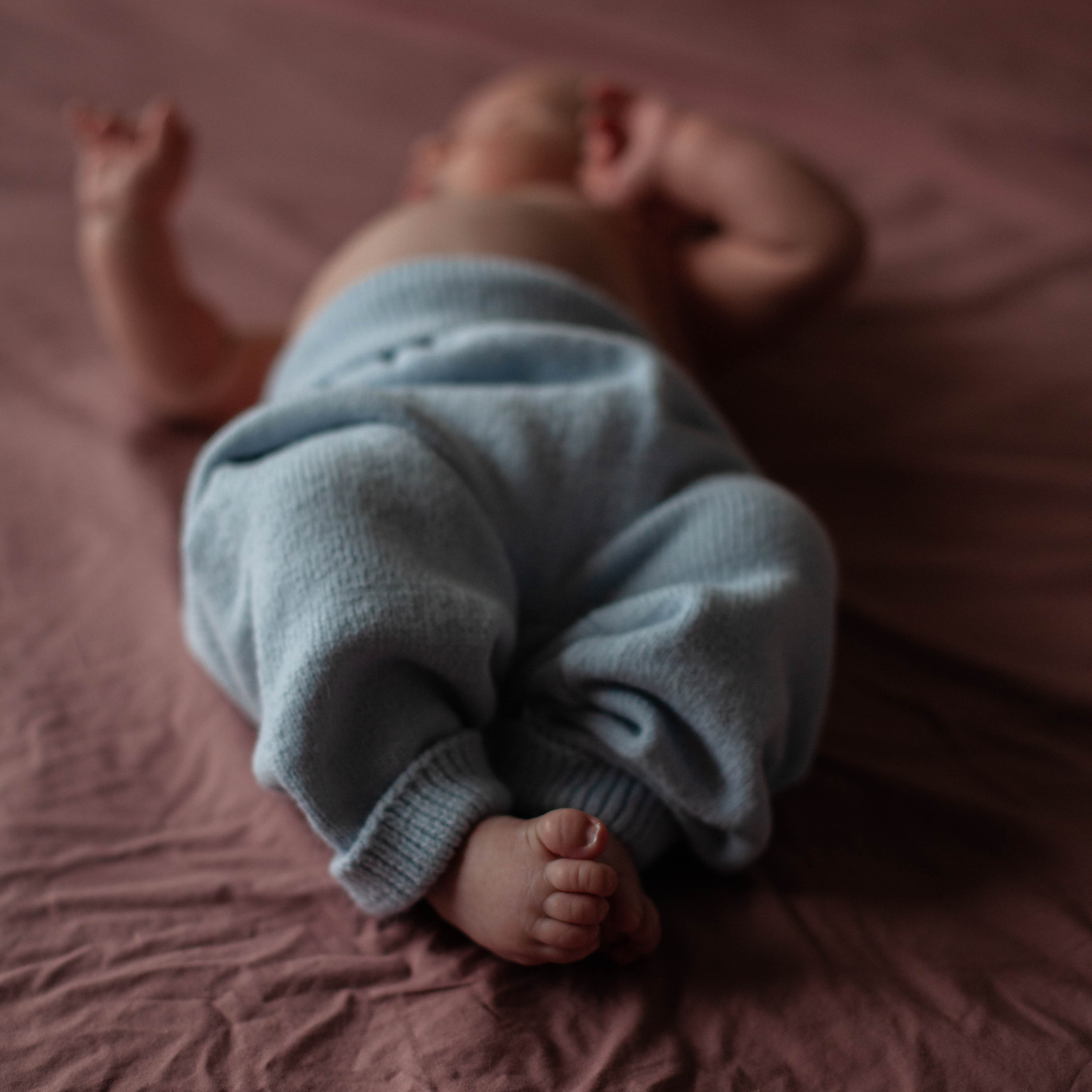 Главный герой, Лев. Семейный фотограф СПб и ЛО Татьяна Прилепко