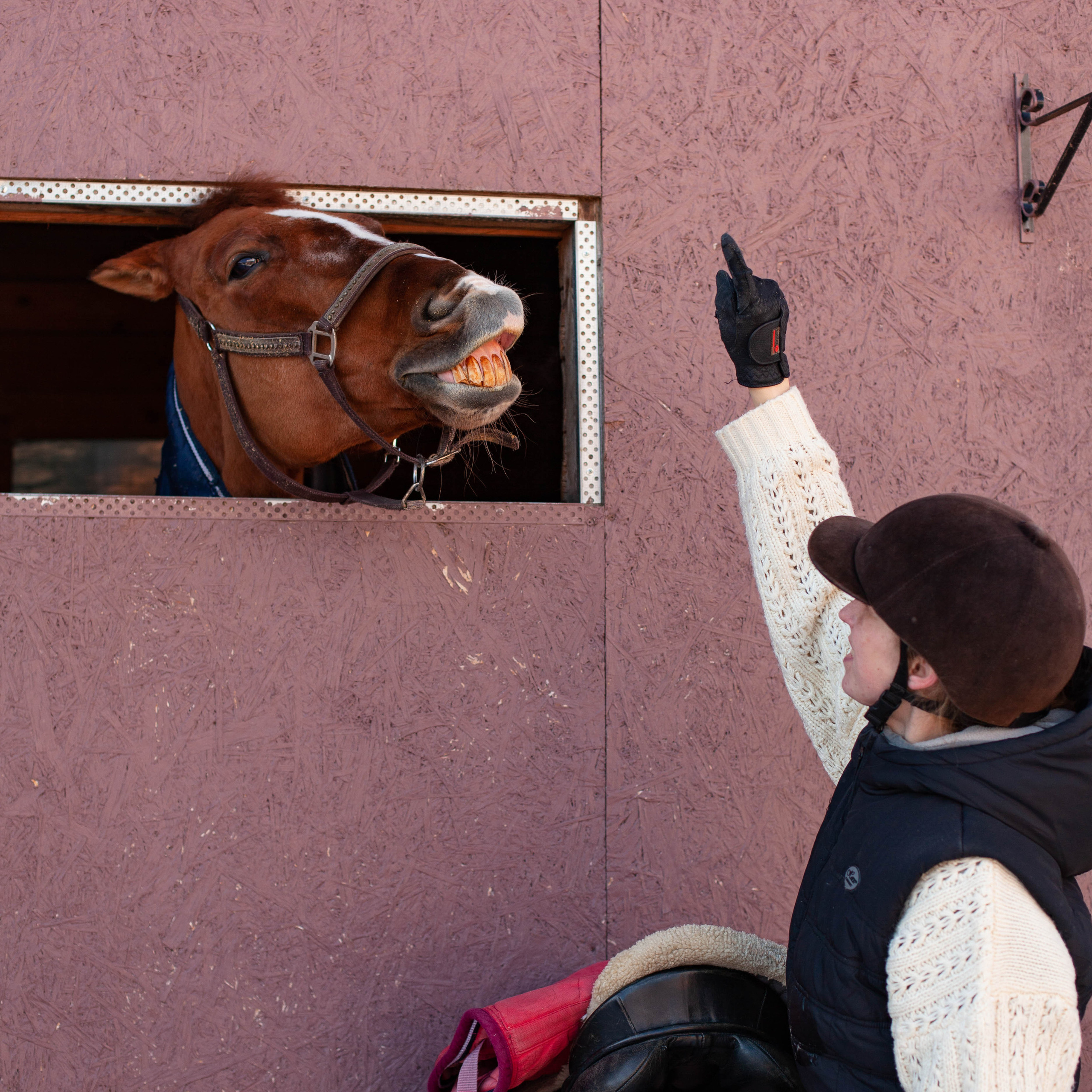 Контент для конюшни. Семейный фотограф СПб и ЛО Татьяна Прилепко