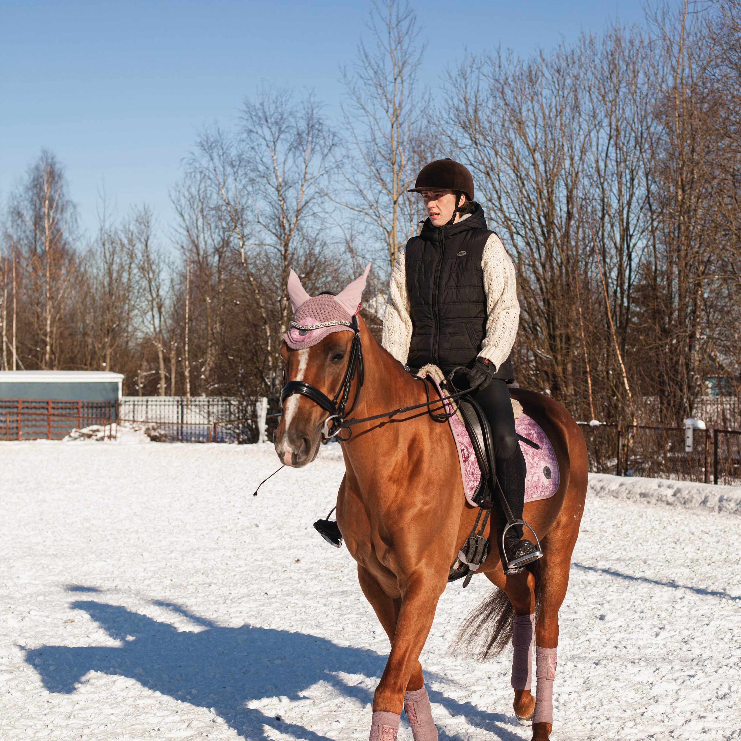 Контент для конюшни. Семейный фотограф СПб и ЛО Татьяна Прилепко