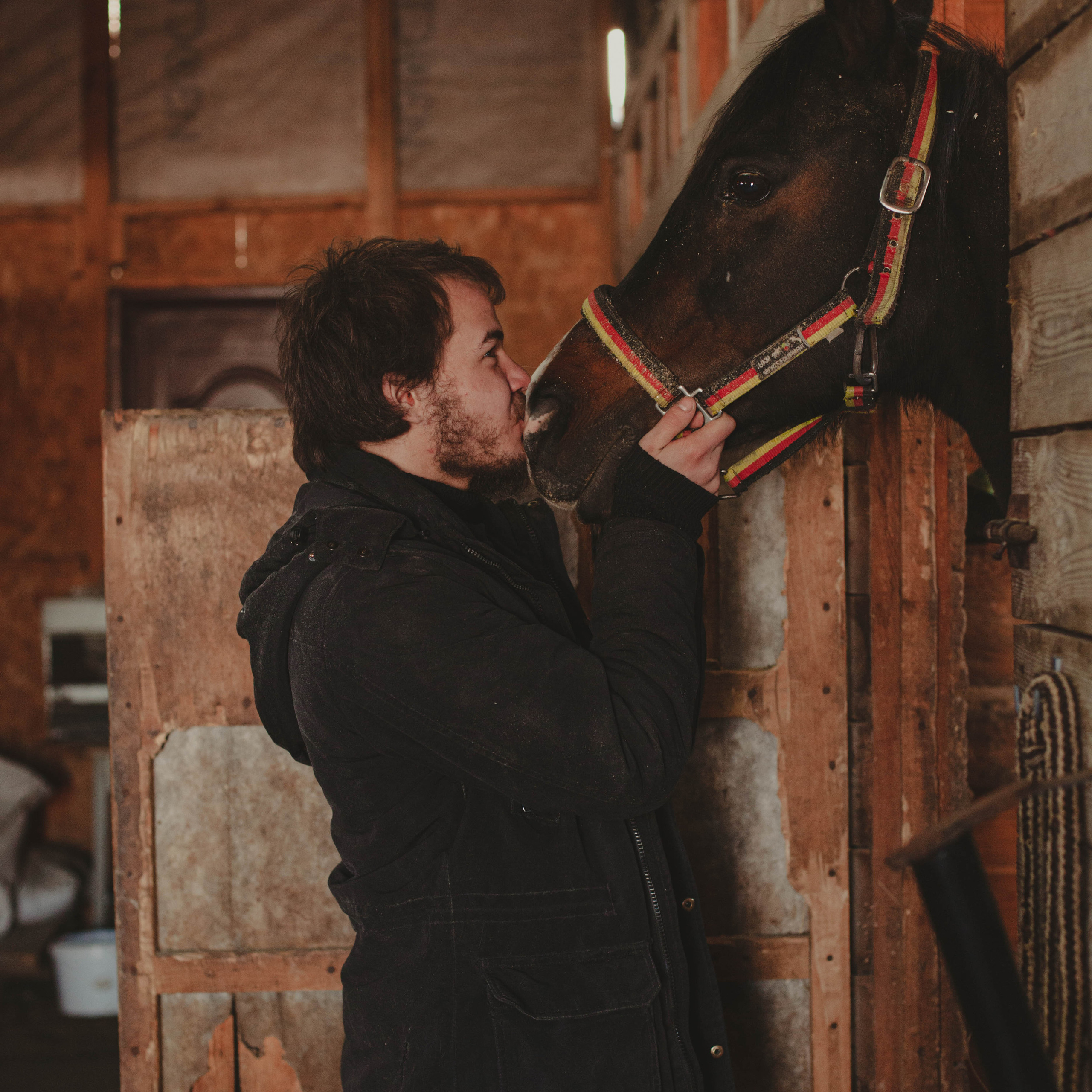 Контент для конюшни. Семейный фотограф СПб и ЛО Татьяна Прилепко