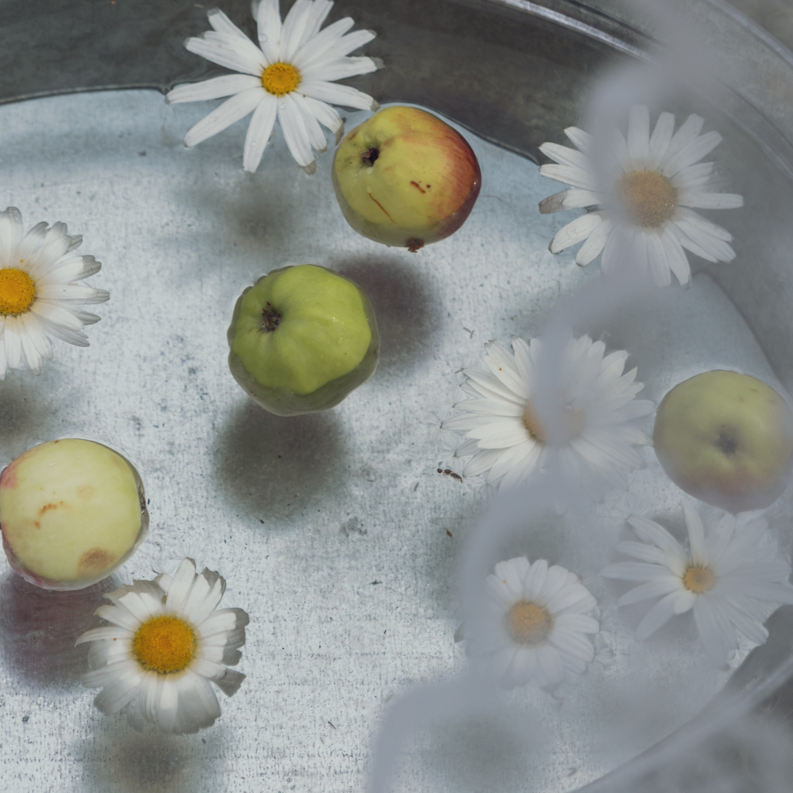 Ирина и Лев. Семейный фотограф СПб и ЛО Татьяна Прилепко