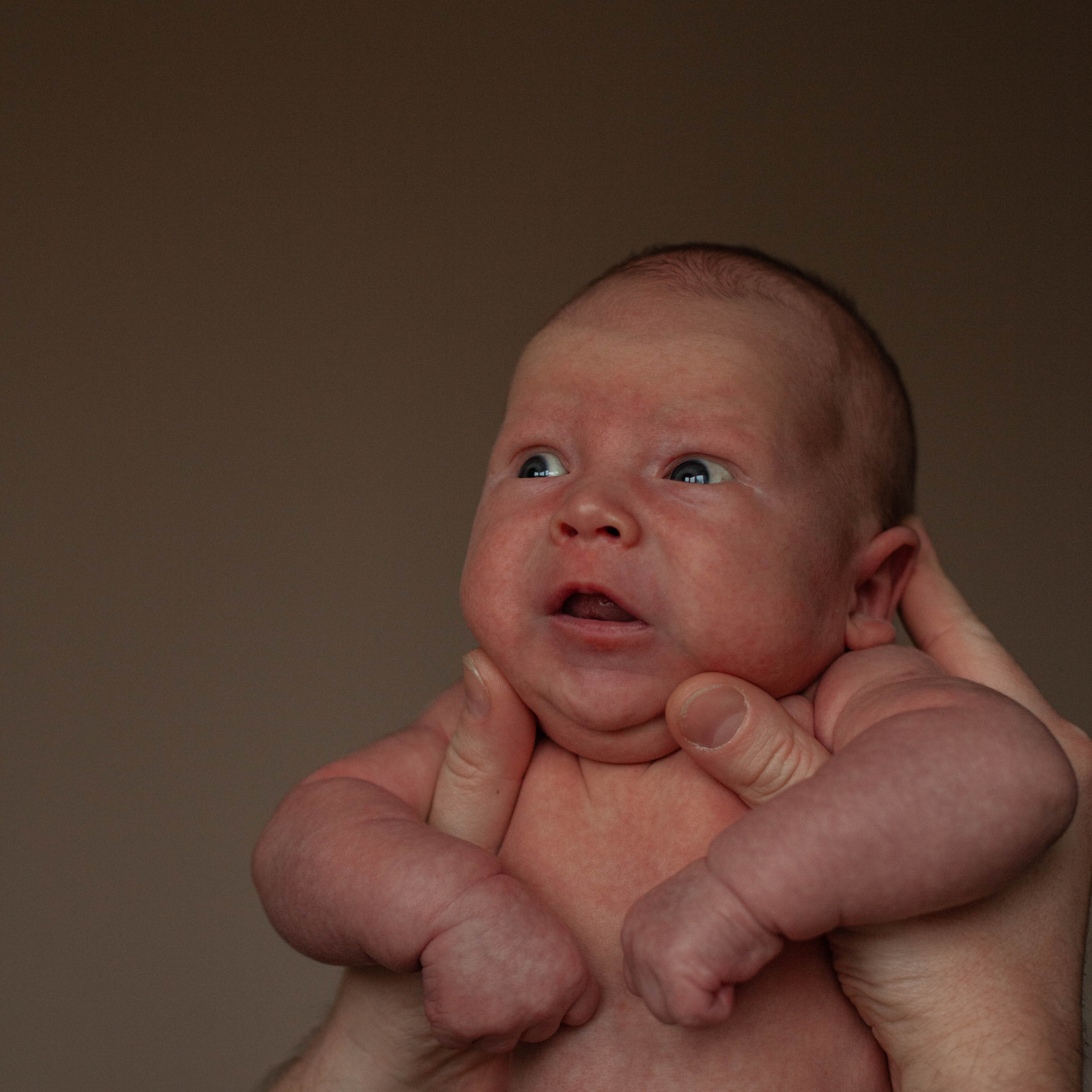 Главный герой, Лев. Семейный фотограф СПб и ЛО Татьяна Прилепко