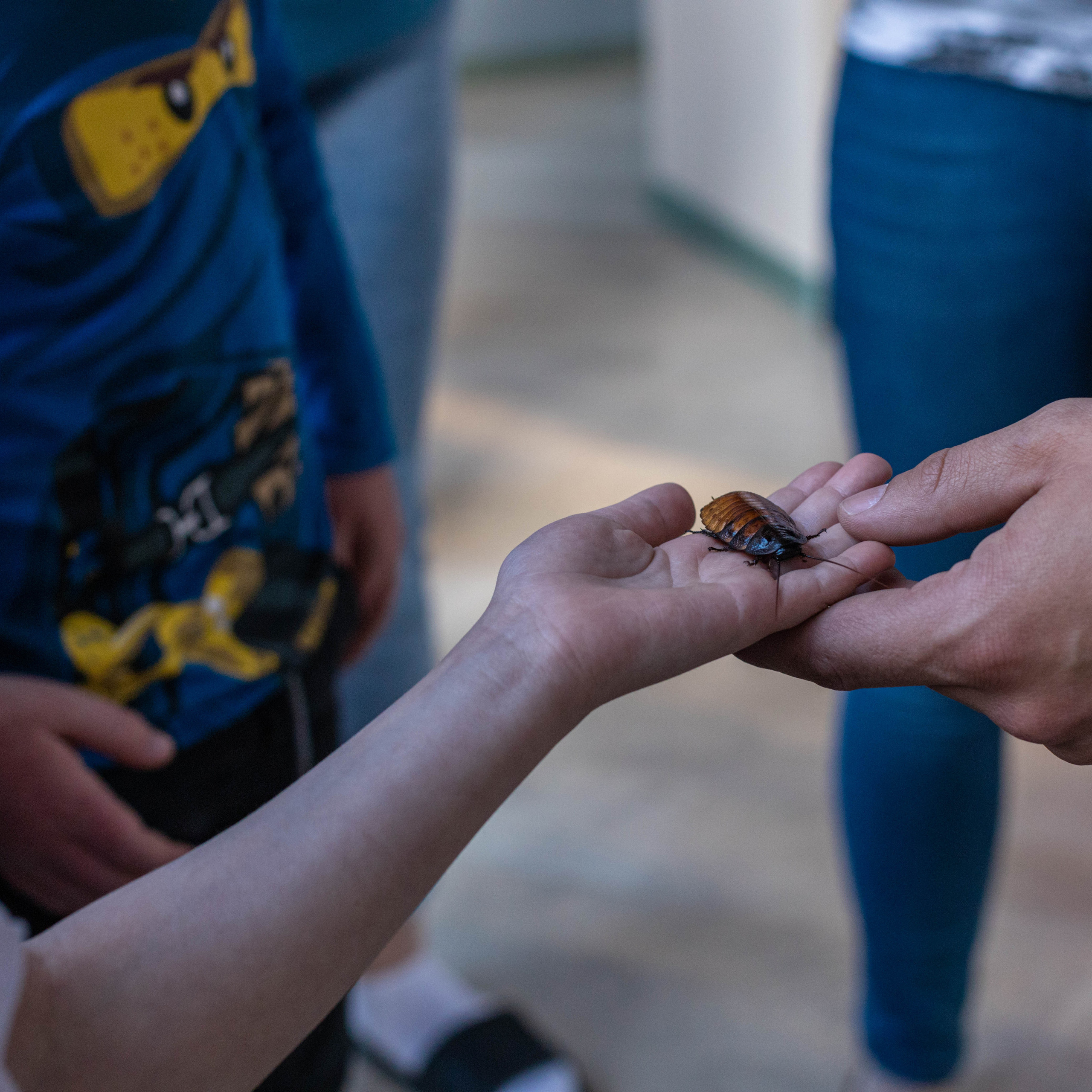 День Рождение Никиты. Семейный фотограф СПб и ЛО Татьяна Прилепко