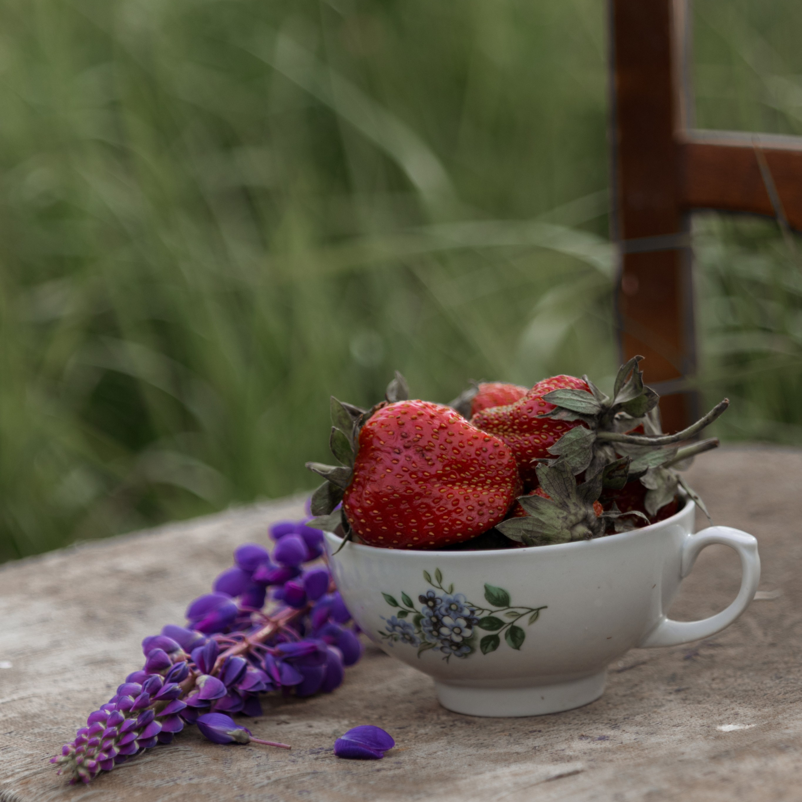 Ирина. Семейный фотограф СПб и ЛО Татьяна Прилепко