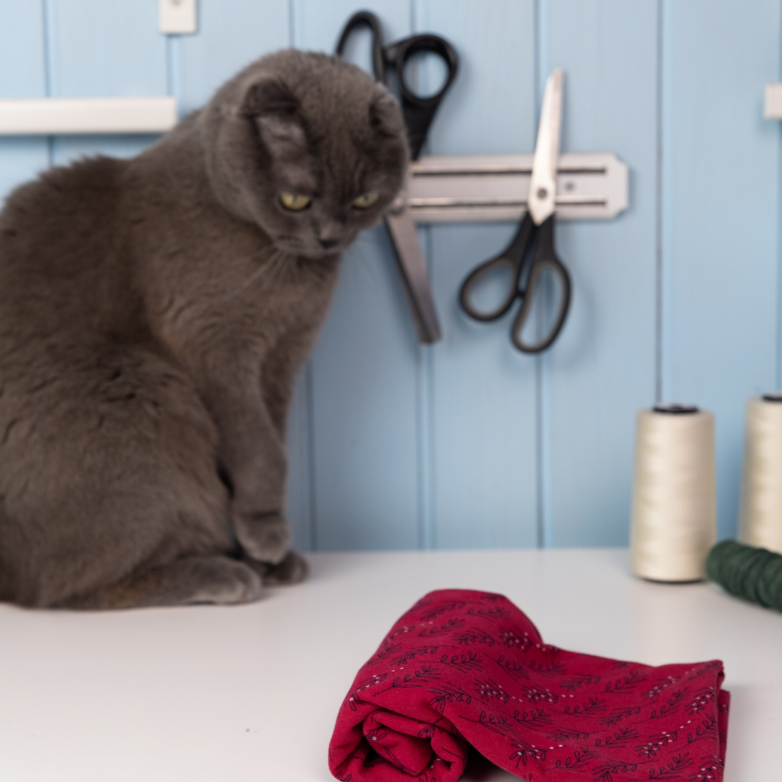 Предметная. Ткани. Семейный фотограф СПб и ЛО Татьяна Прилепко