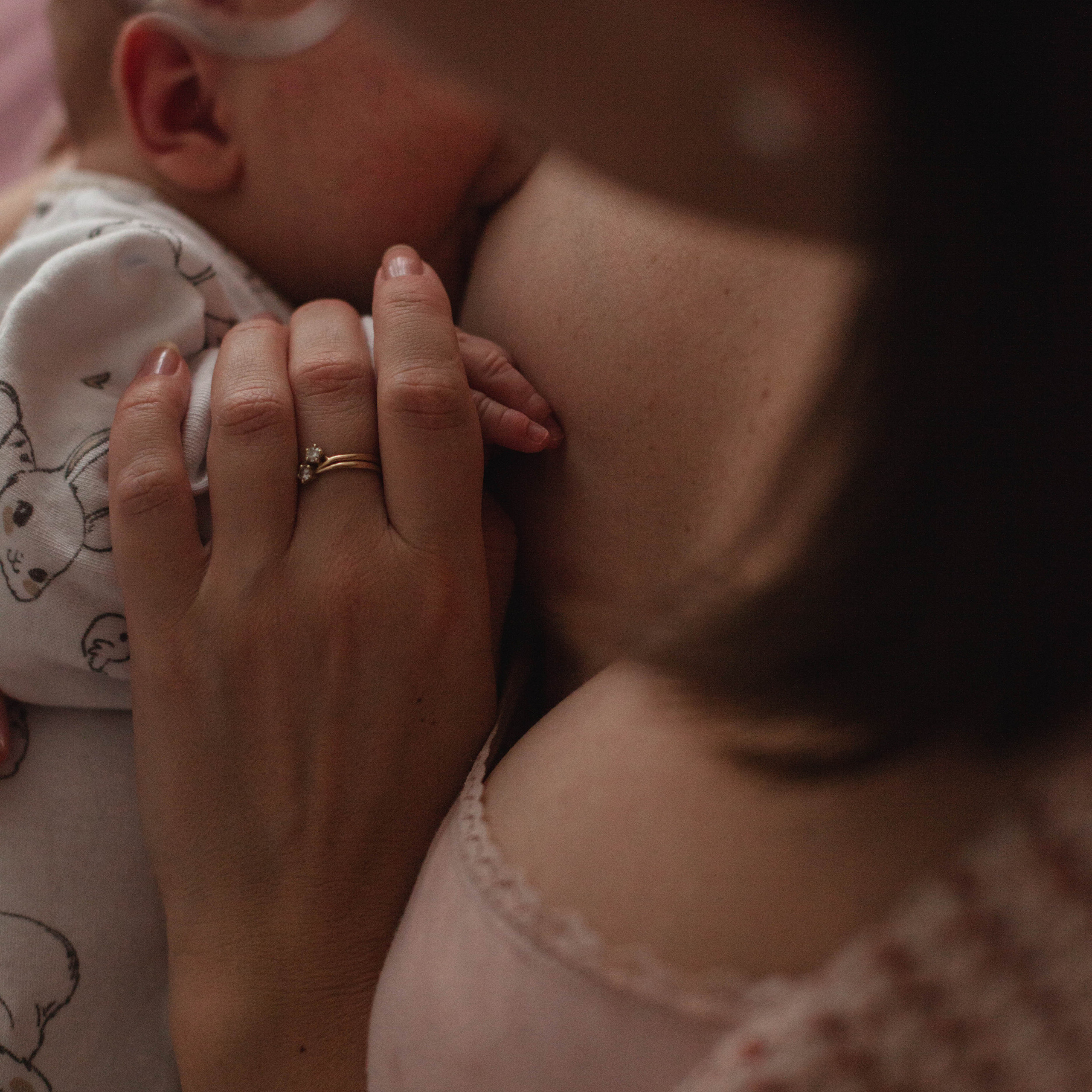 Главный герой, Лев. Семейный фотограф СПб и ЛО Татьяна Прилепко