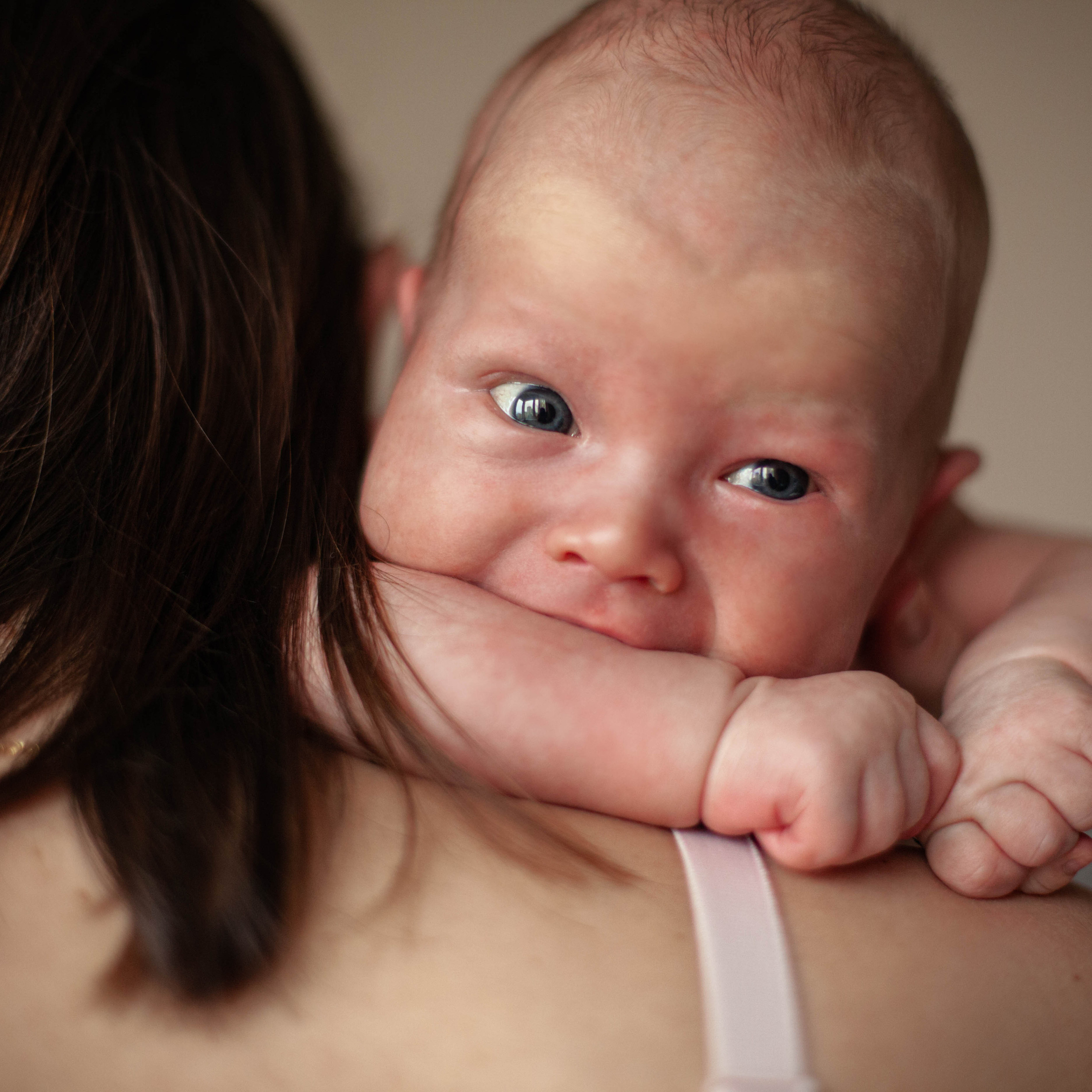 Главный герой, Лев. Семейный фотограф СПб и ЛО Татьяна Прилепко