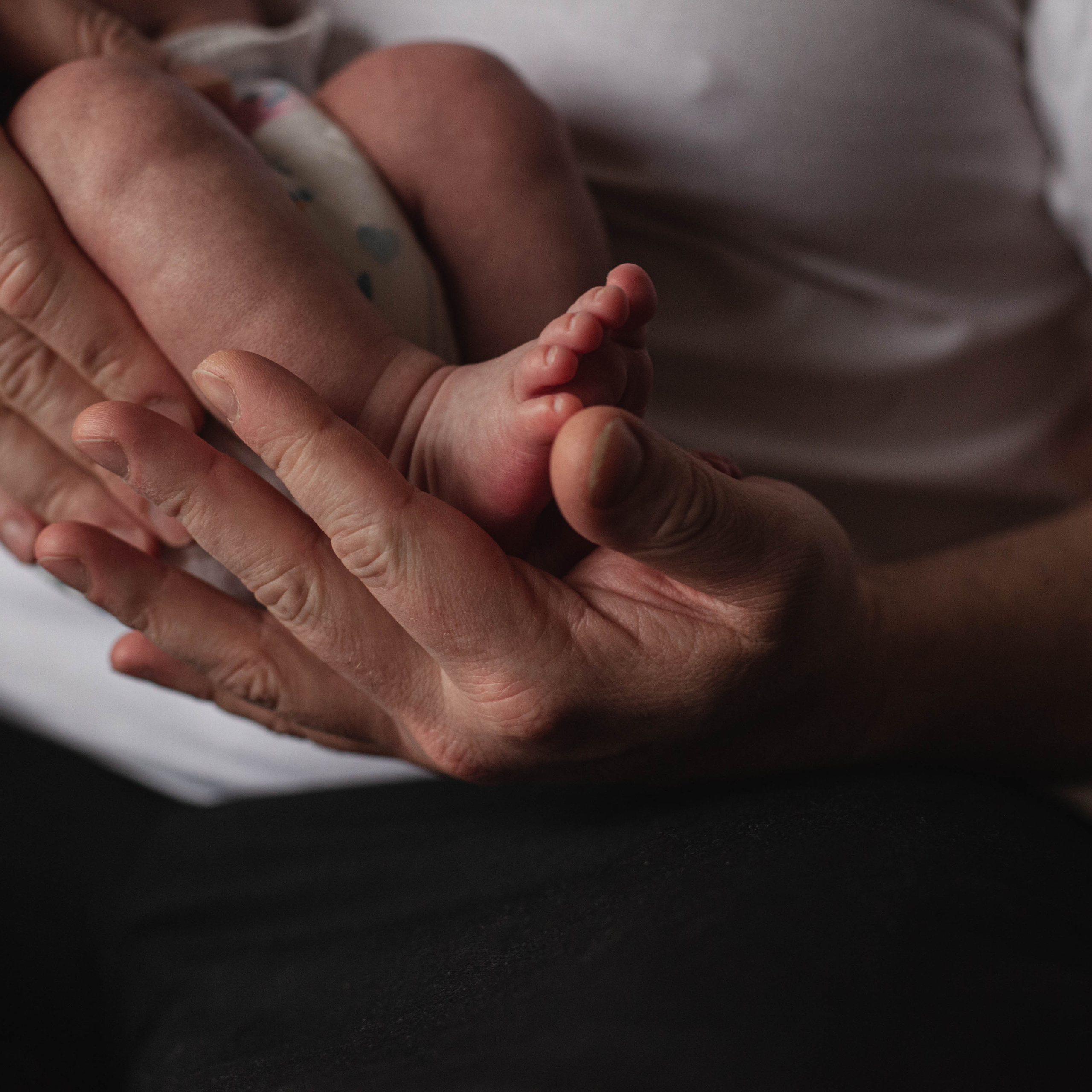 Главный герой, Лев. Семейный фотограф СПб и ЛО Татьяна Прилепко
