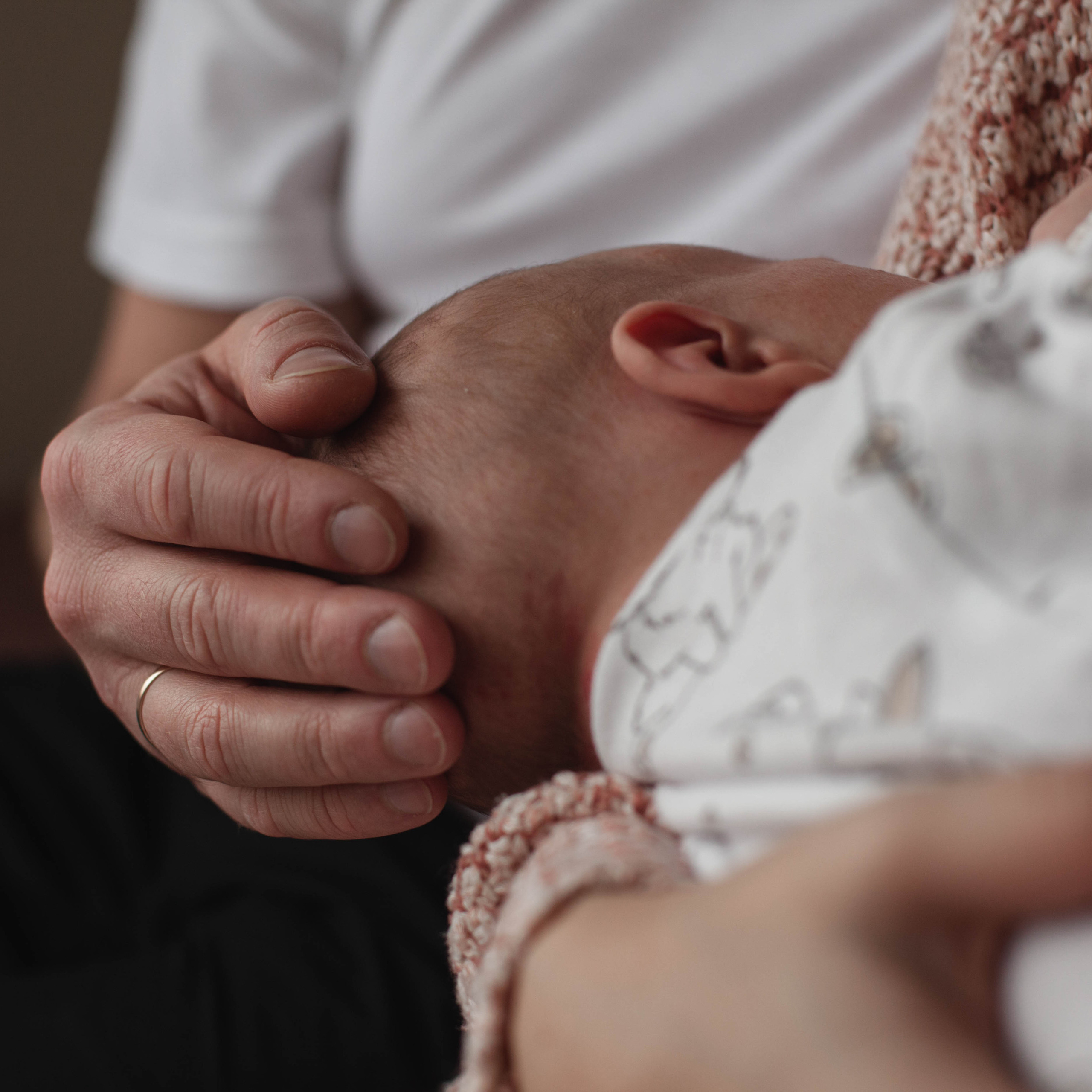 Главный герой, Лев. Семейный фотограф СПб и ЛО Татьяна Прилепко