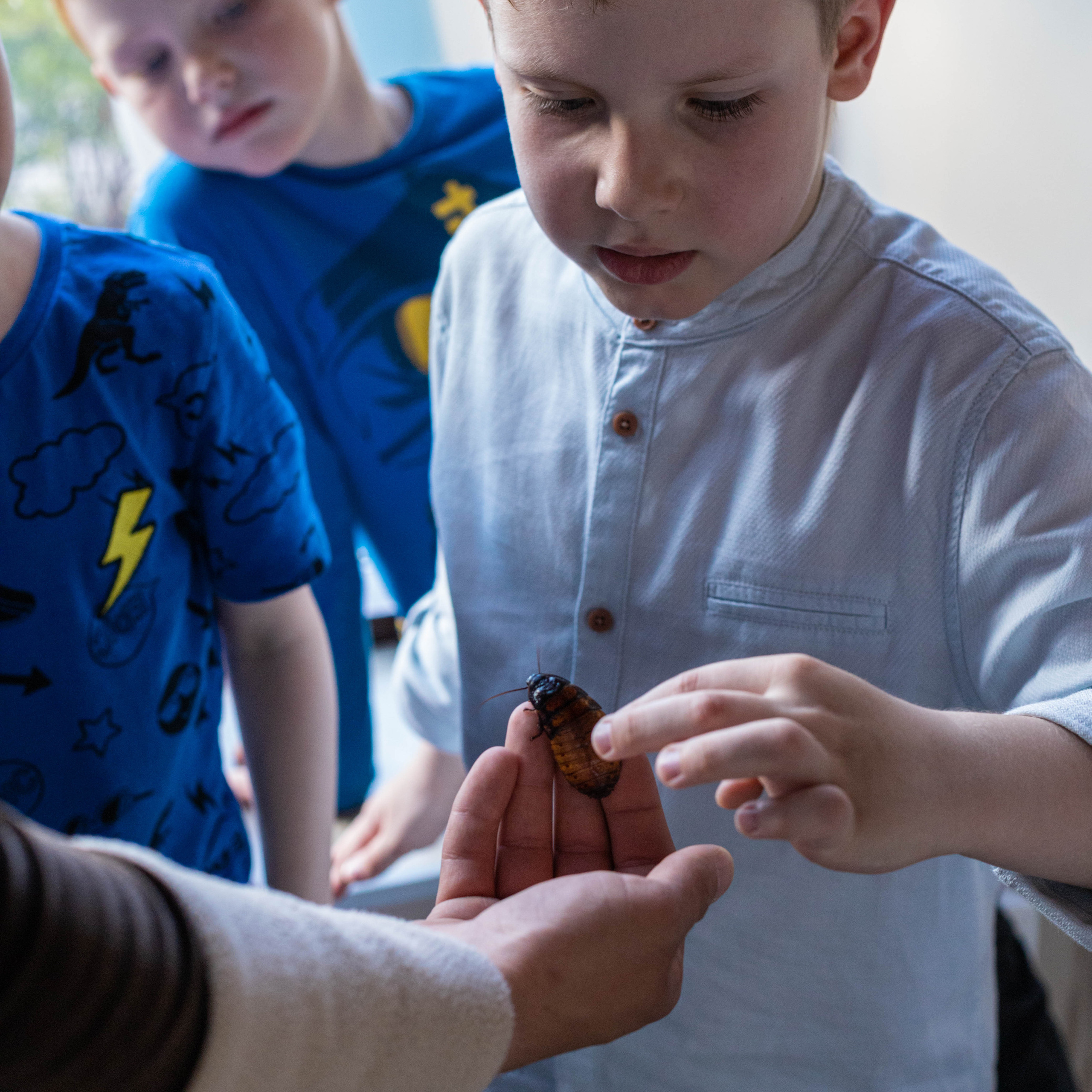День Рождение Никиты. Семейный фотограф СПб и ЛО Татьяна Прилепко