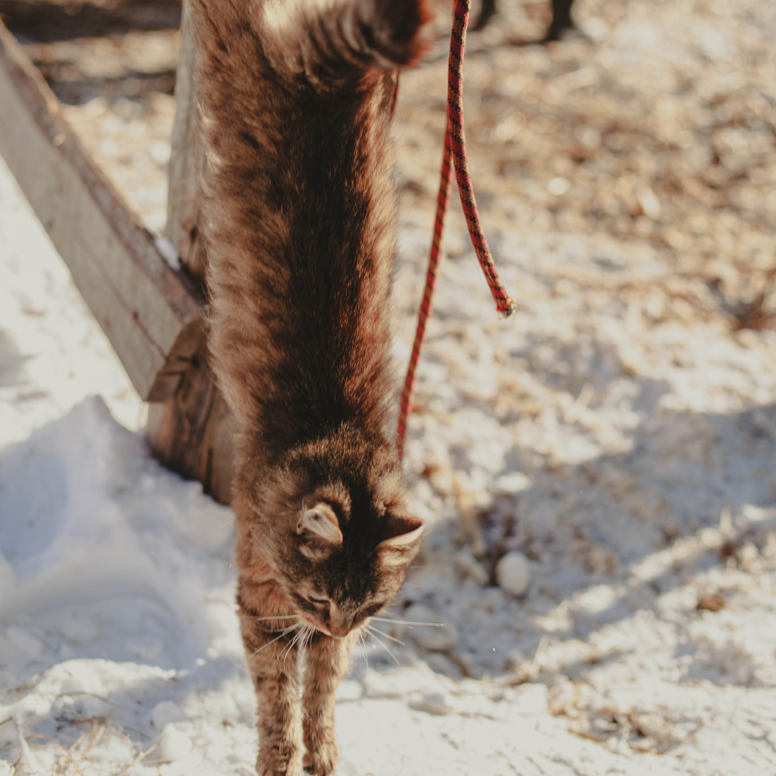 Контент для конюшни. Семейный фотограф СПб и ЛО Татьяна Прилепко