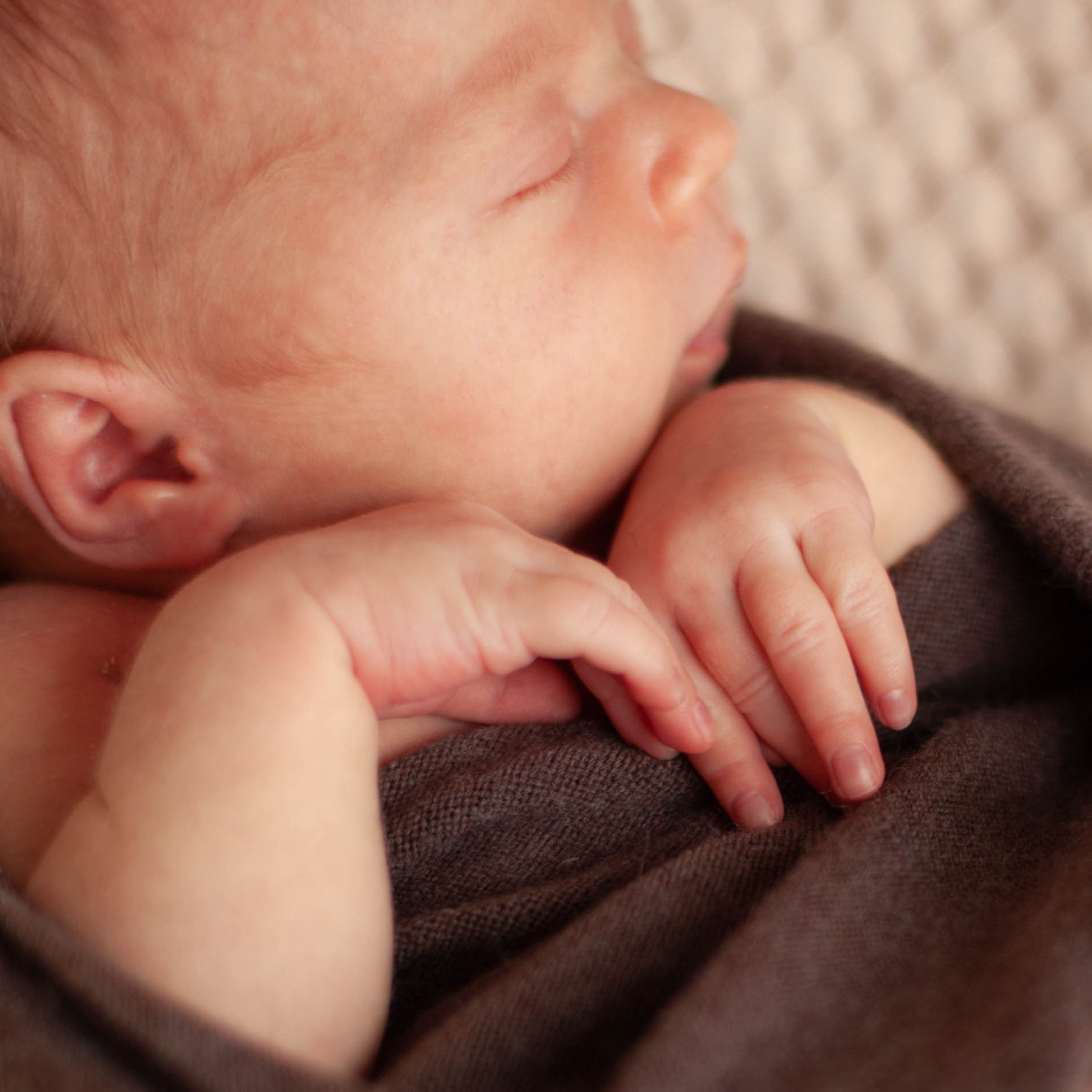 Мама+Папа=Ева. Семейный фотограф СПб и ЛО Татьяна Прилепко