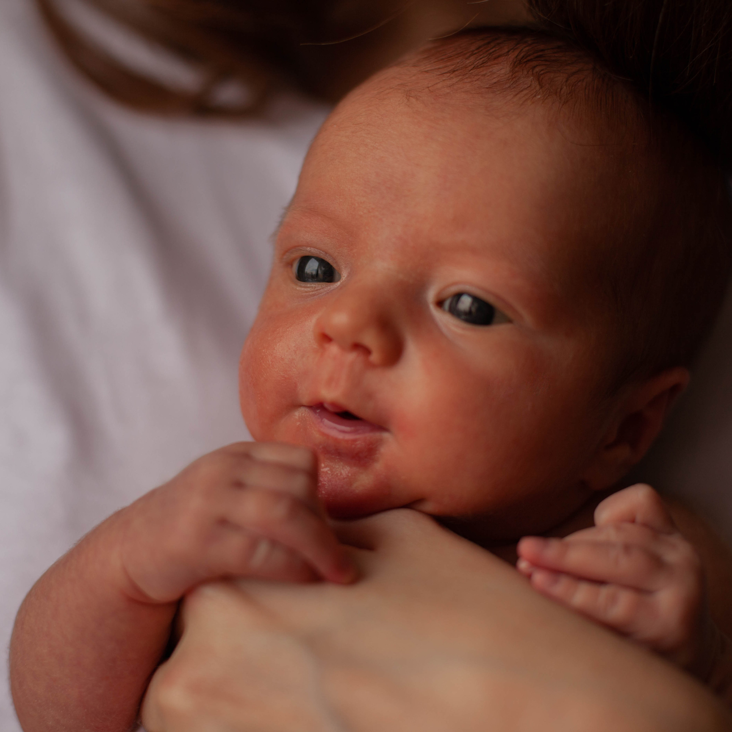 Мама+Папа=Ева. Семейный фотограф СПб и ЛО Татьяна Прилепко