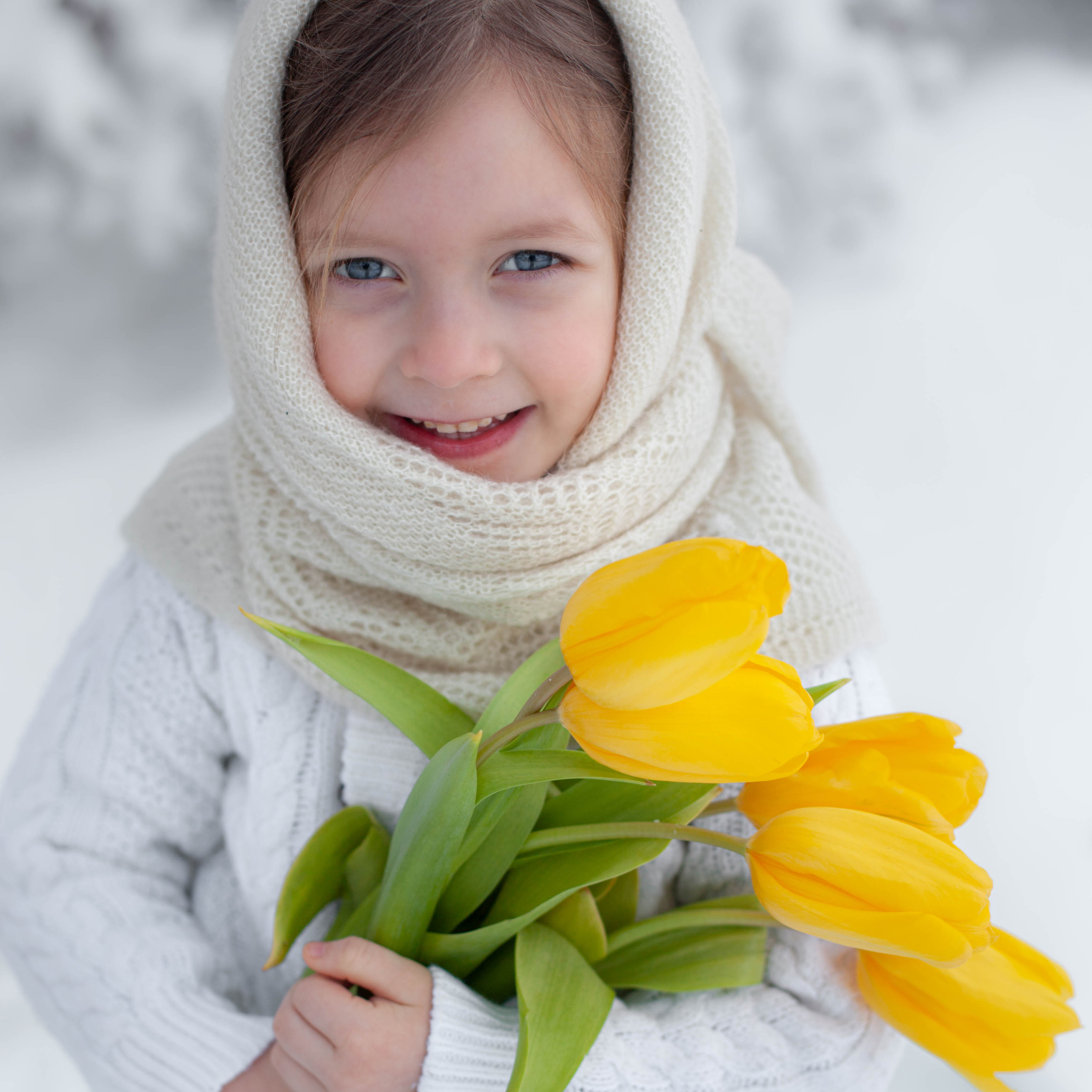 Тюльпаны на снегу